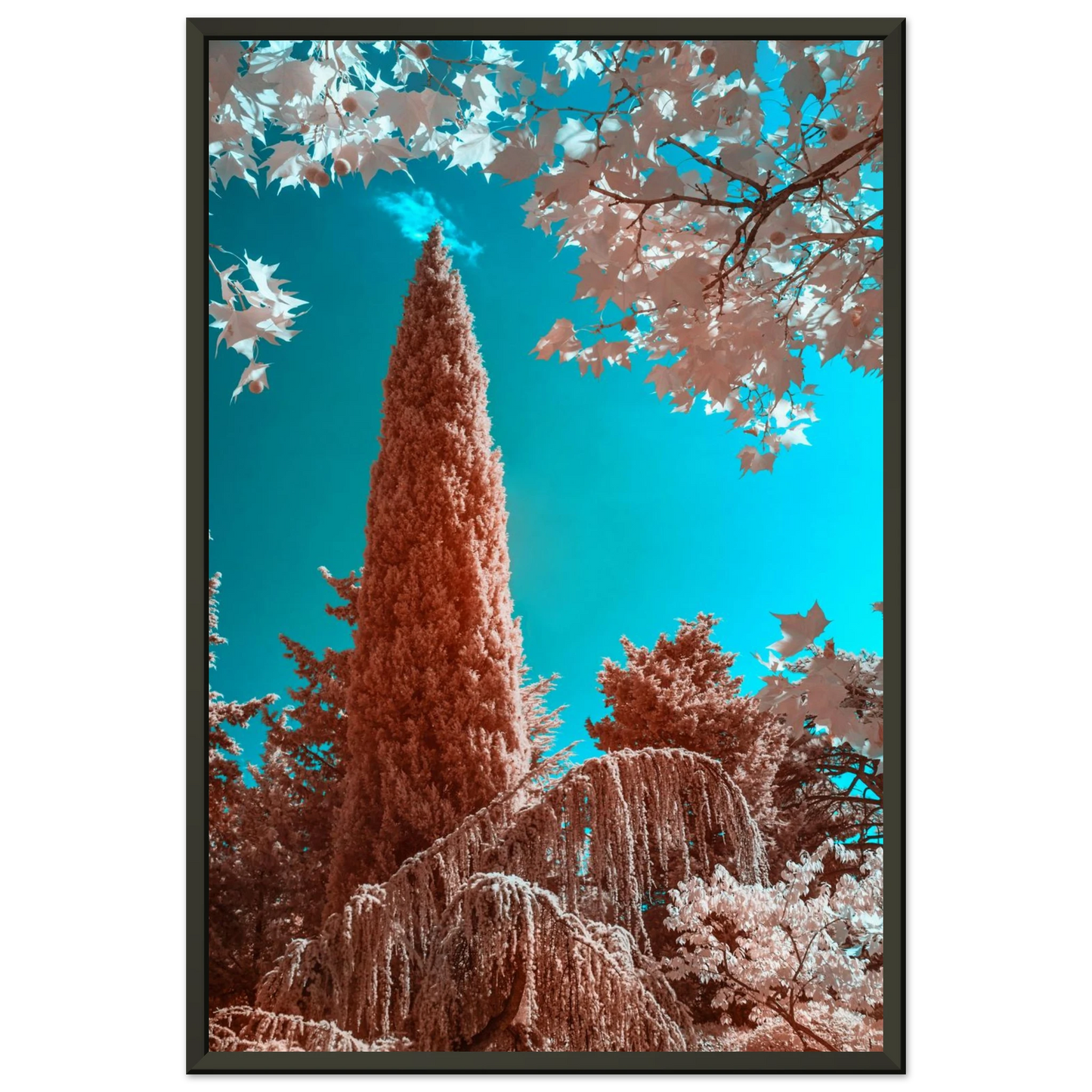 e20bf303-f0cd-42f6-86b2-1675c4010a79