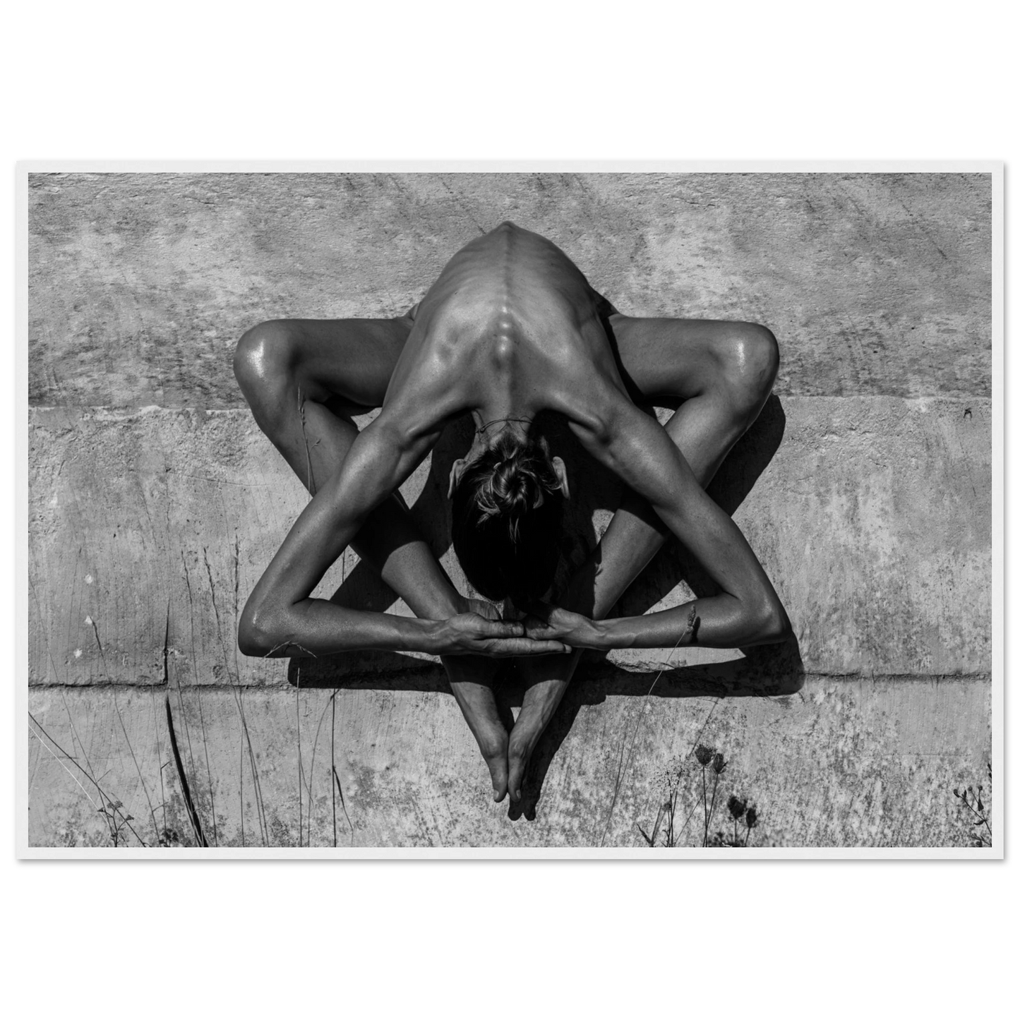 e2703e75-1548-48f4-b34b-b082623ade37