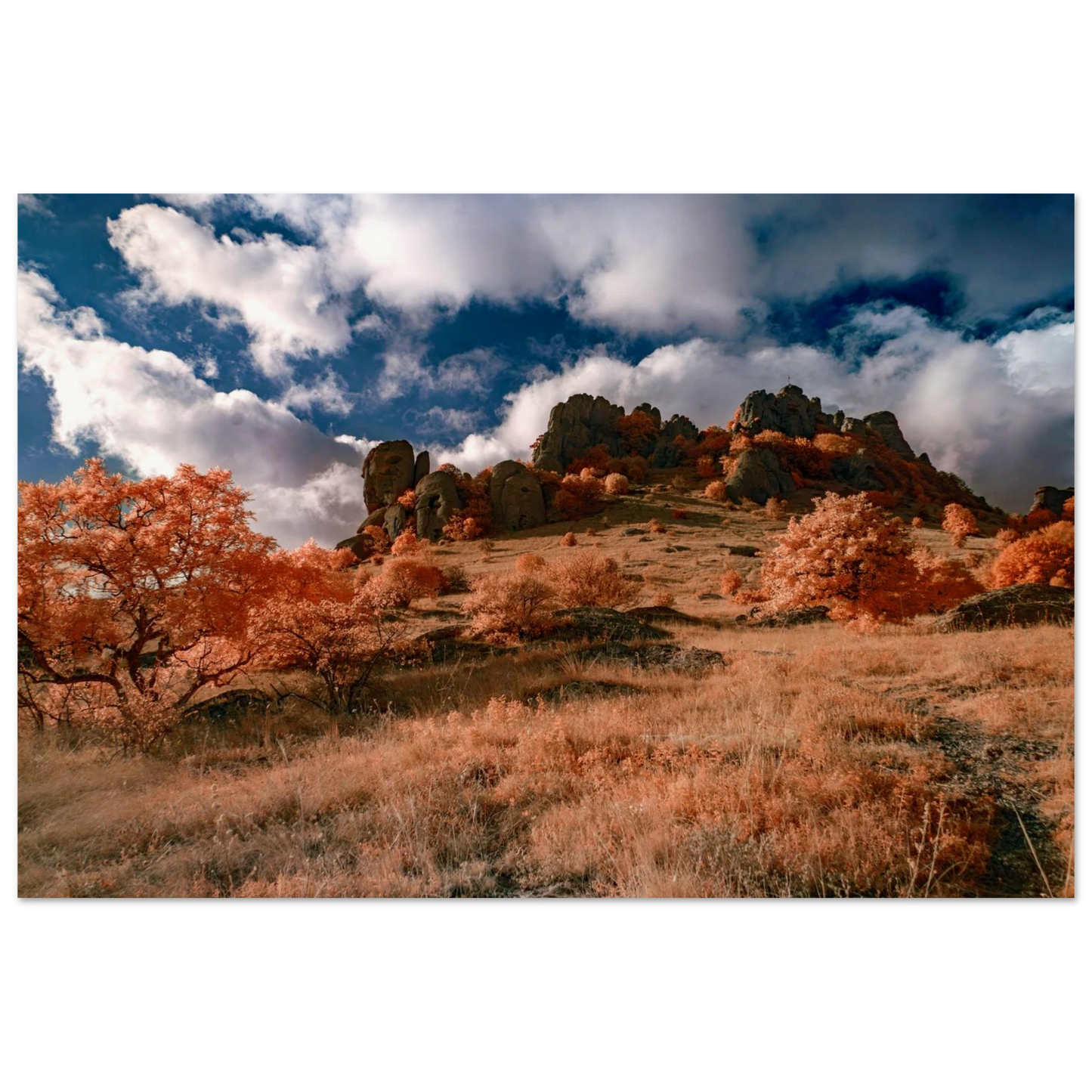 e414de87-dbf0-4e02-b716-0f1f82649eba