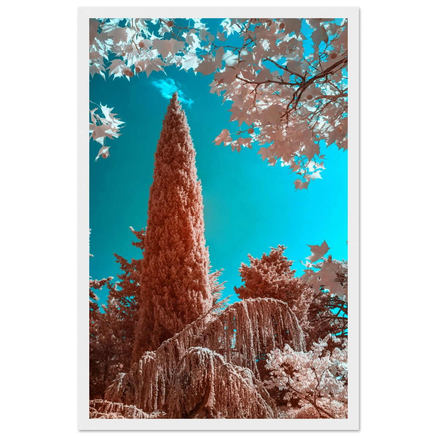 e45e136f-3624-4433-bf0e-b9c30aae5184