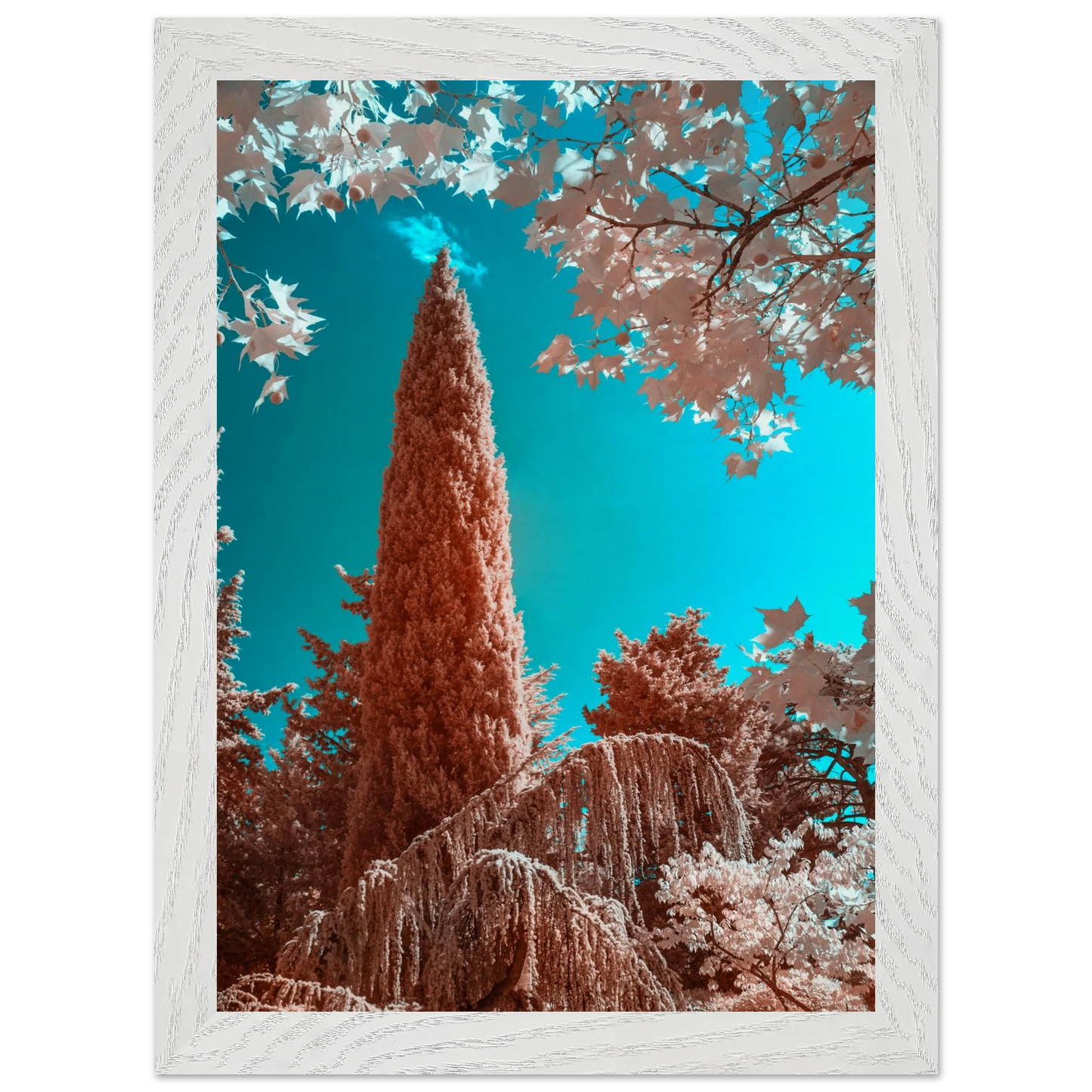 e49ab659-5f5f-4153-82ce-43095de616e3