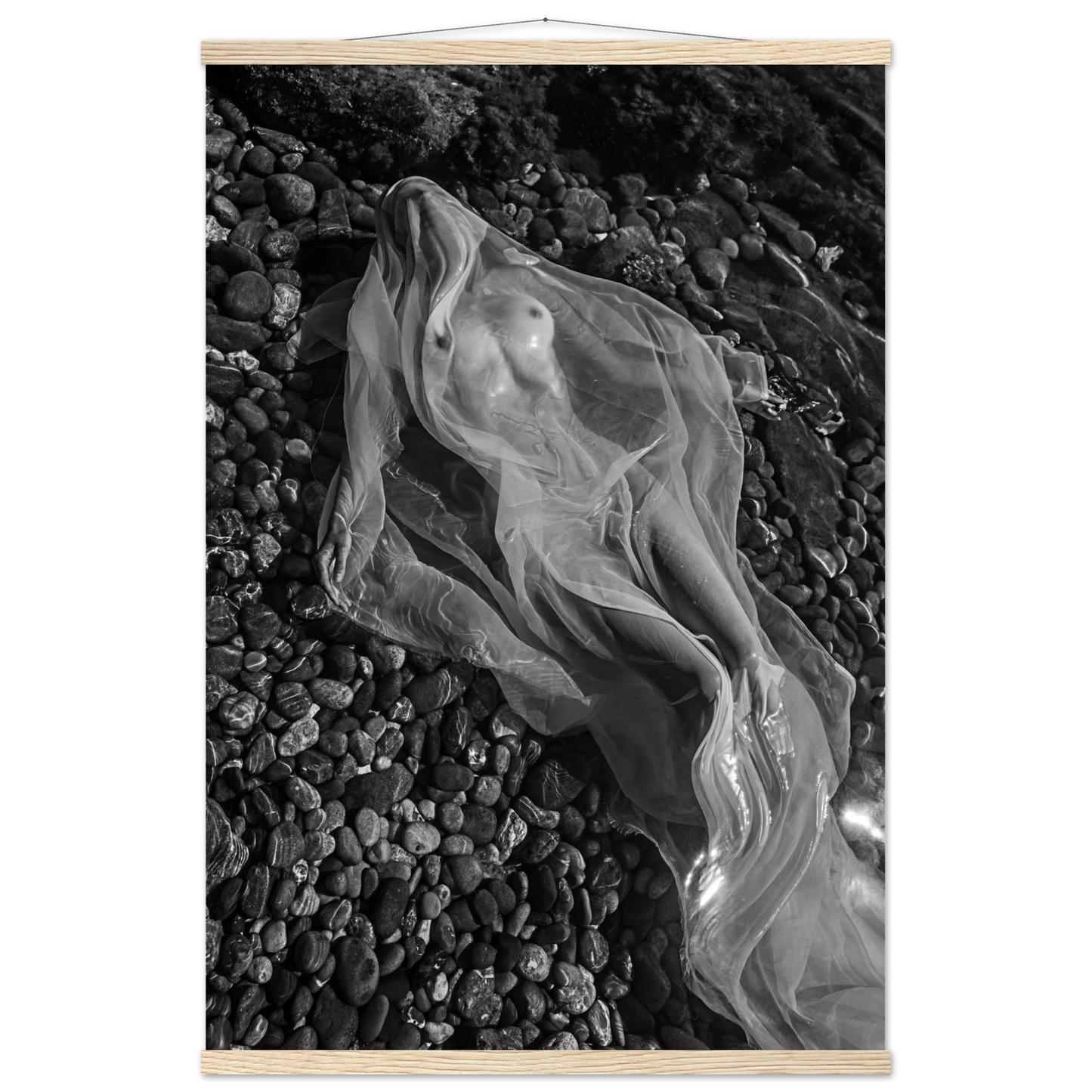 e4fbcc83-582d-40c3-912e-e19d76405428