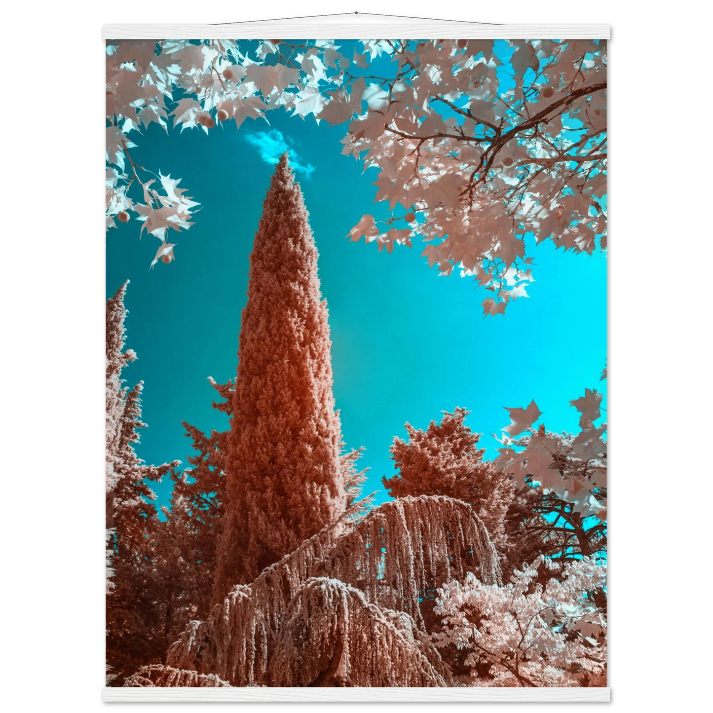 e58ea30c-915f-4aa7-b011-e5d9b8e8dfa5