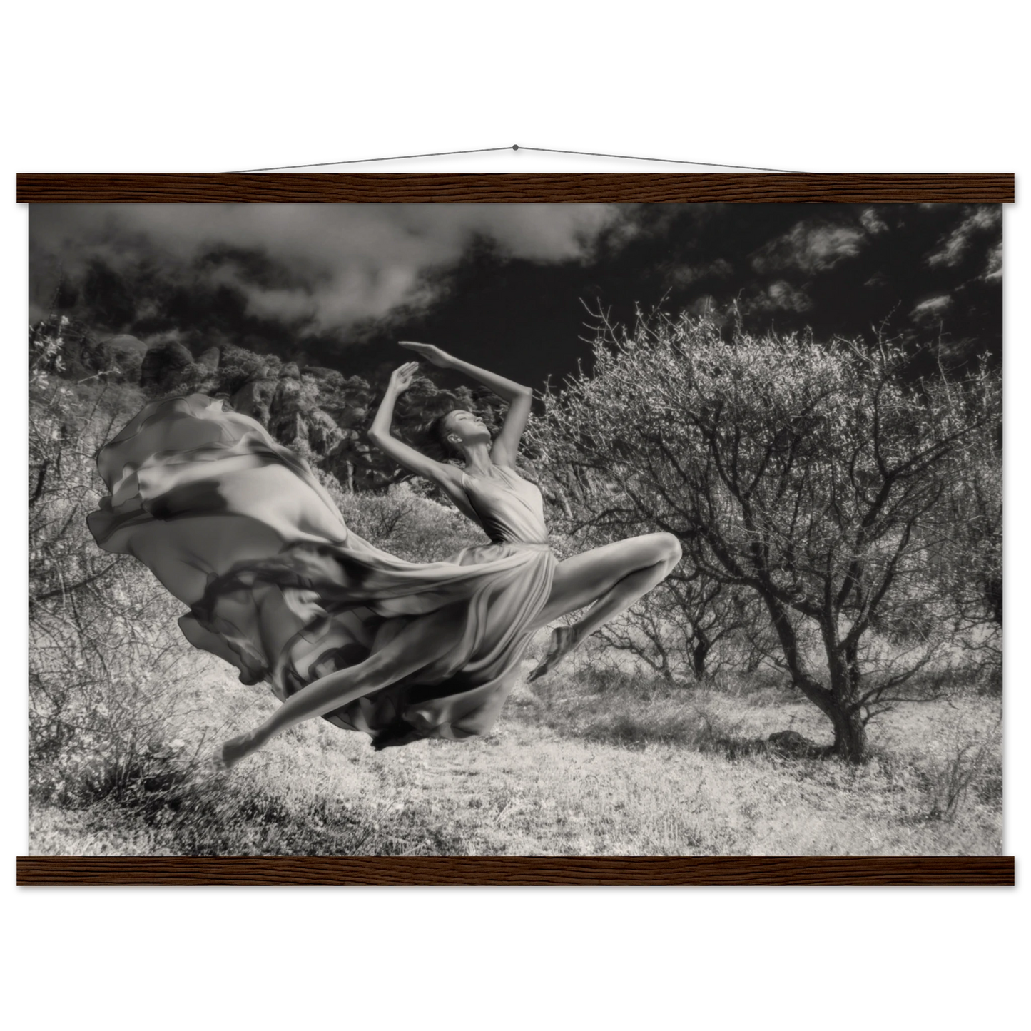 e5a36715-b088-47b1-85dd-5688b83e69bc