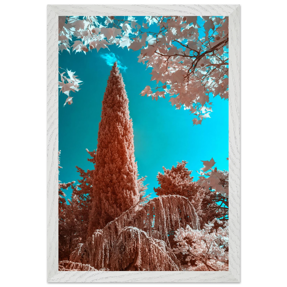 e5c30240-bf0e-4457-9862-e61aa49420c8