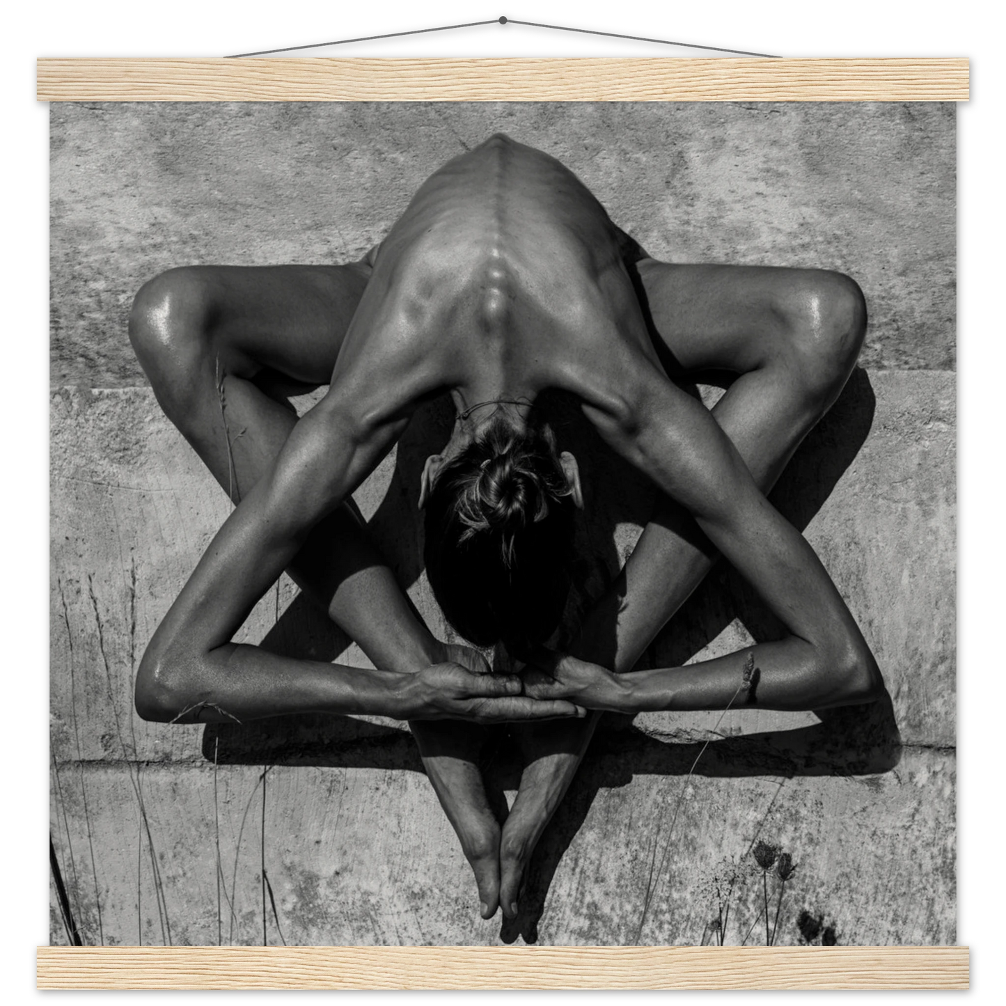 e694d537-2c84-4e08-a597-f70622f5e688