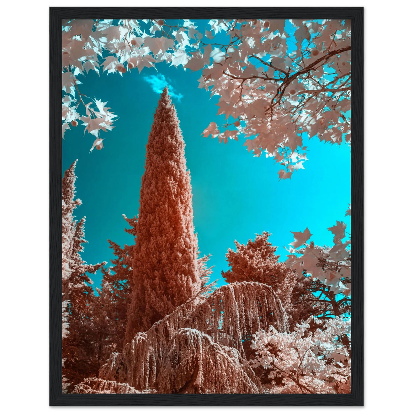 e6ea5873-2003-45a6-b7c9-09254d716e06