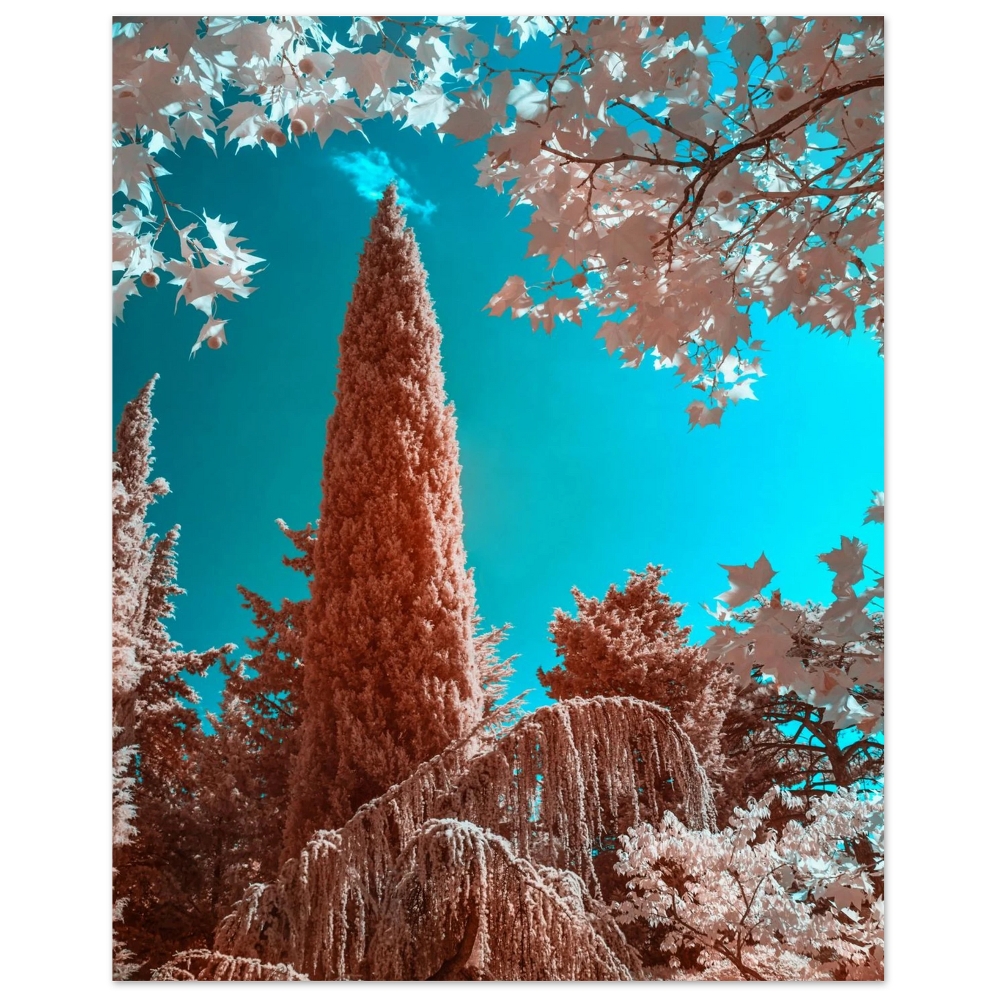 e7007e01-1941-493c-b1dc-0e6c166cbba5