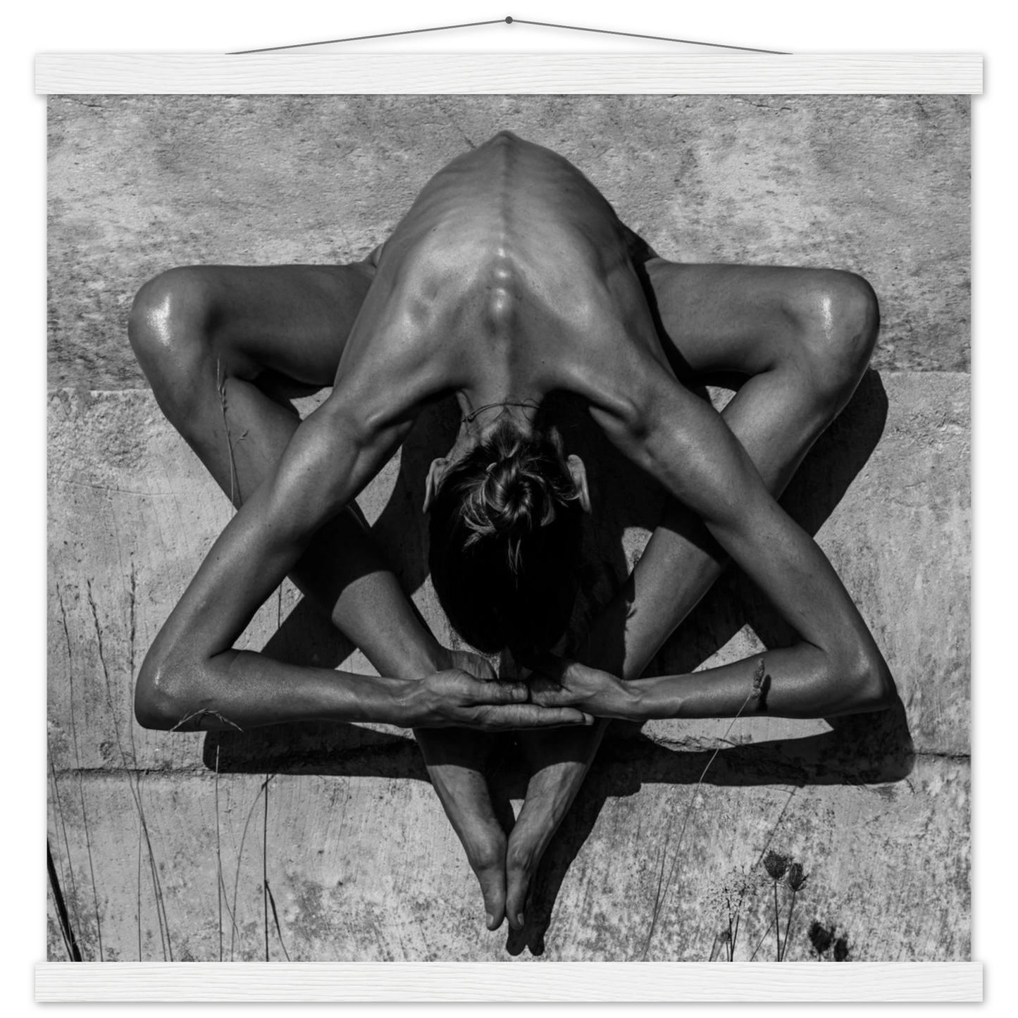 e779489a-99b5-4c8c-9493-5e050ba736c9