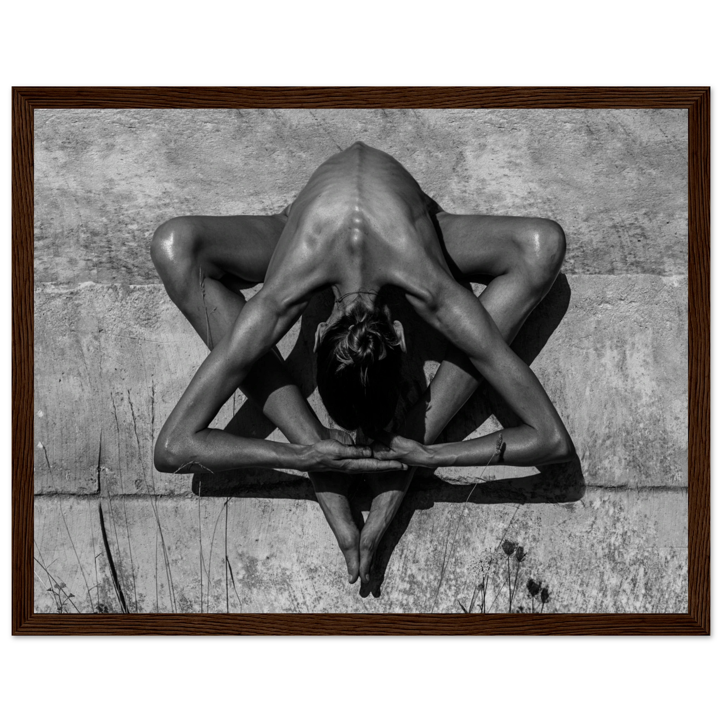 e851af9f-e2c0-4e19-9517-dc1f54338cd8