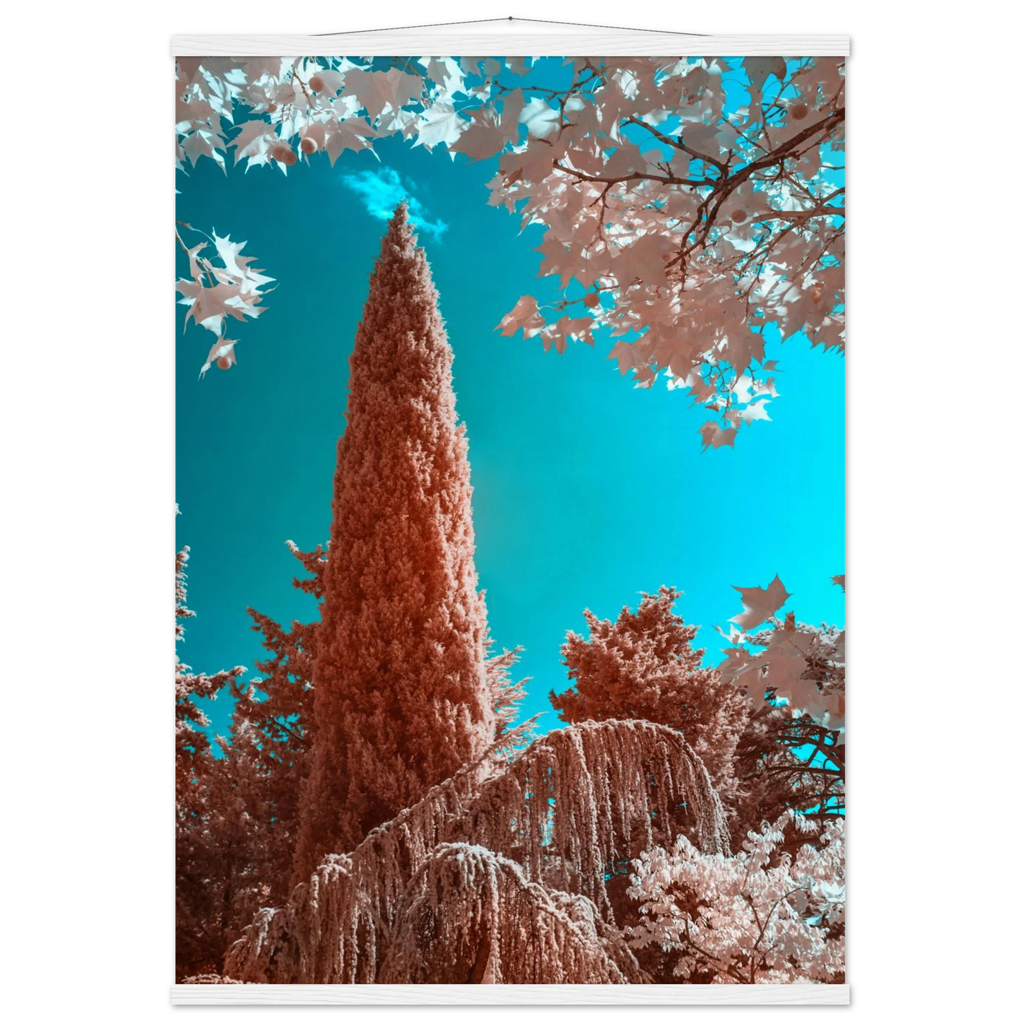 e9063c61-ec57-4bd3-8cc2-0a2f8b49884a