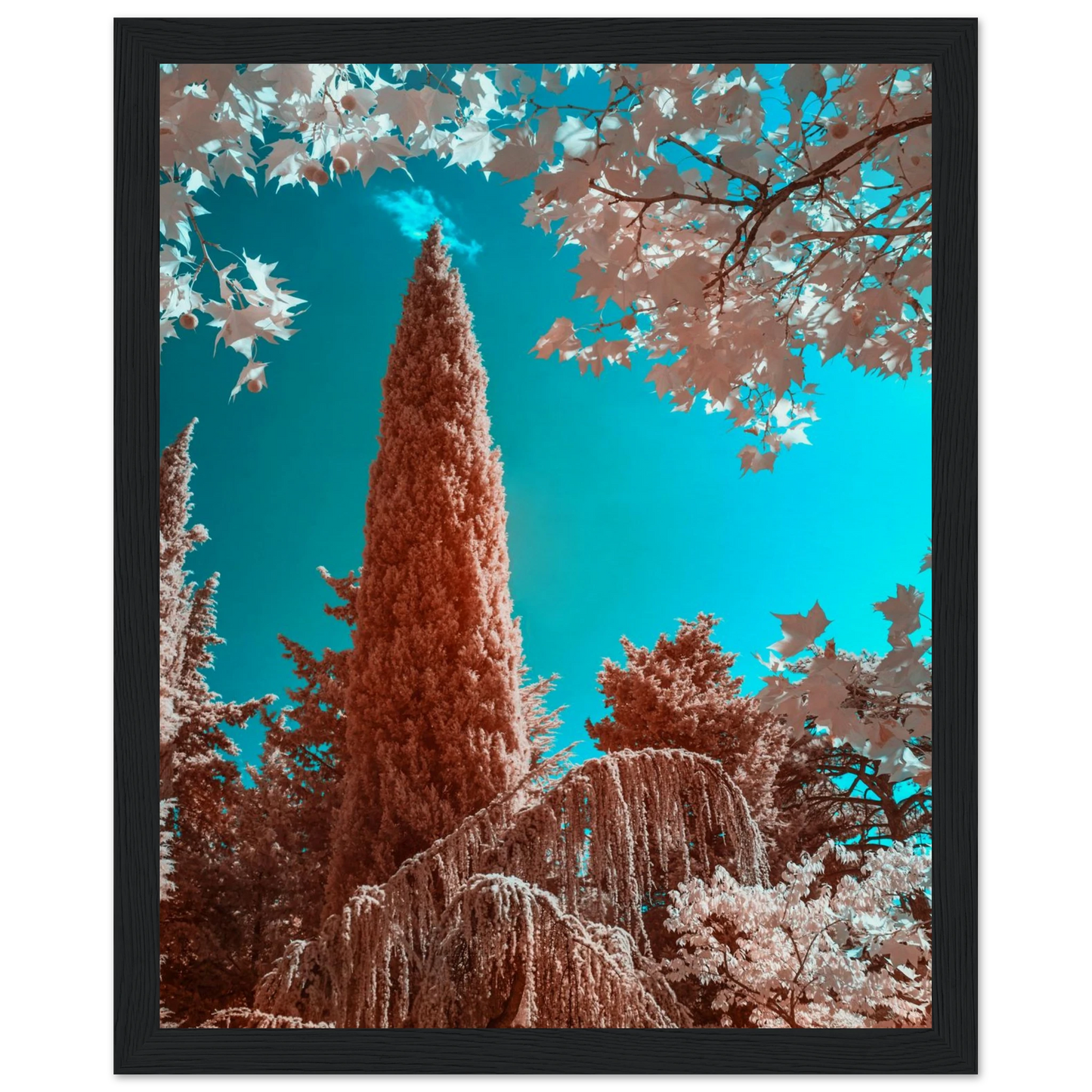 e9ad1146-e225-4f21-bbd2-2113493fa60c