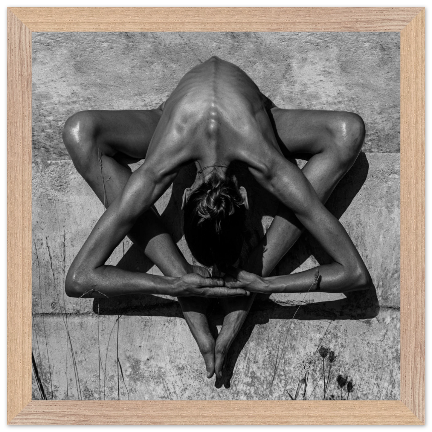 e9cc504d-a93a-42a1-aa44-a8a7d3be0578