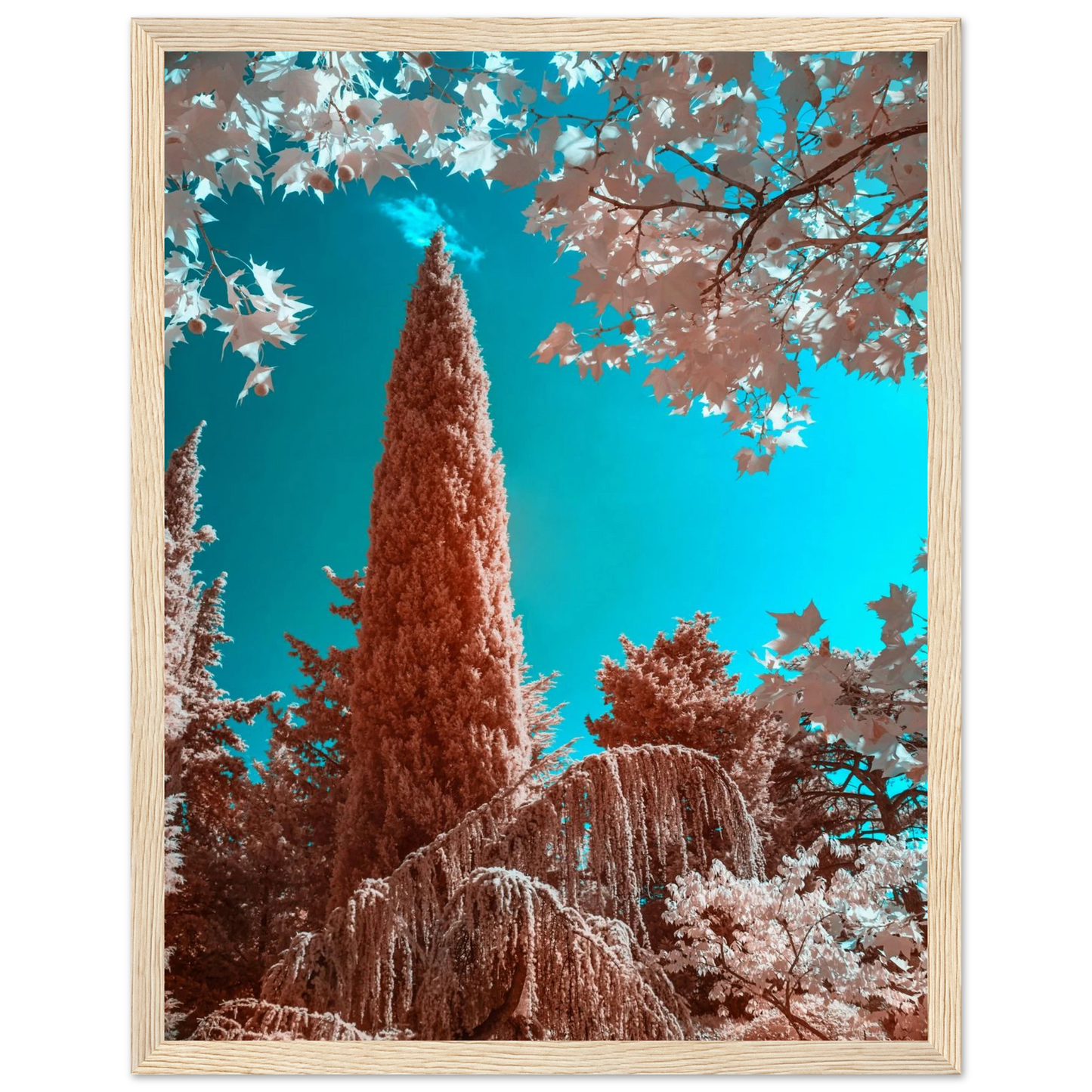 ea4f41ef-0f9f-4711-878b-51a0568ad124