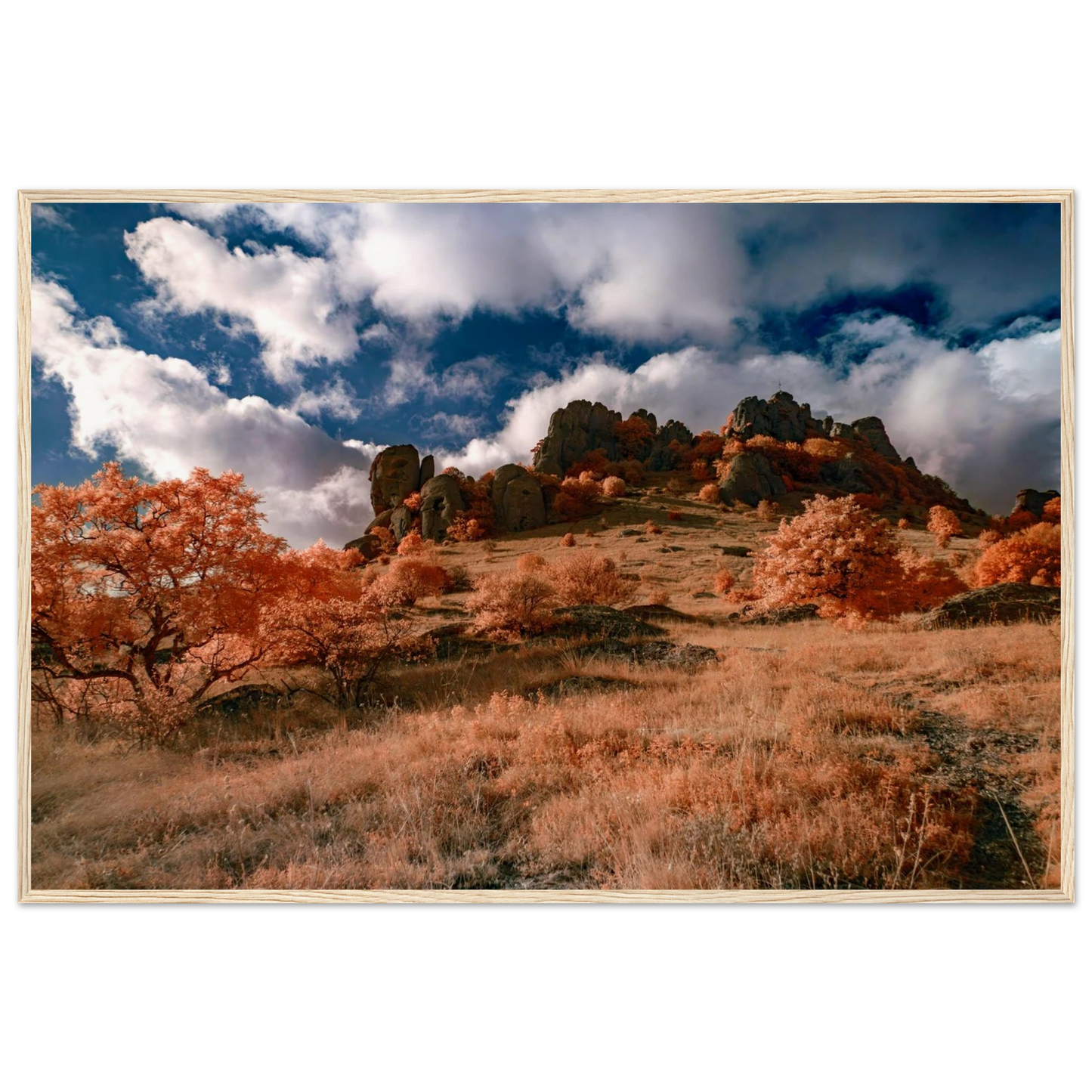 ea6ea170-0c0e-45c6-96b5-a3040fbb6d6c