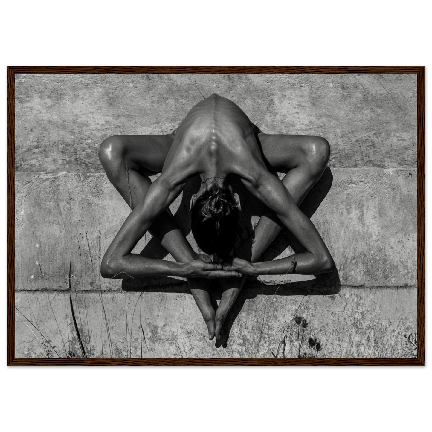 ec783a6d-acf2-450a-9960-e7aef3d4f833