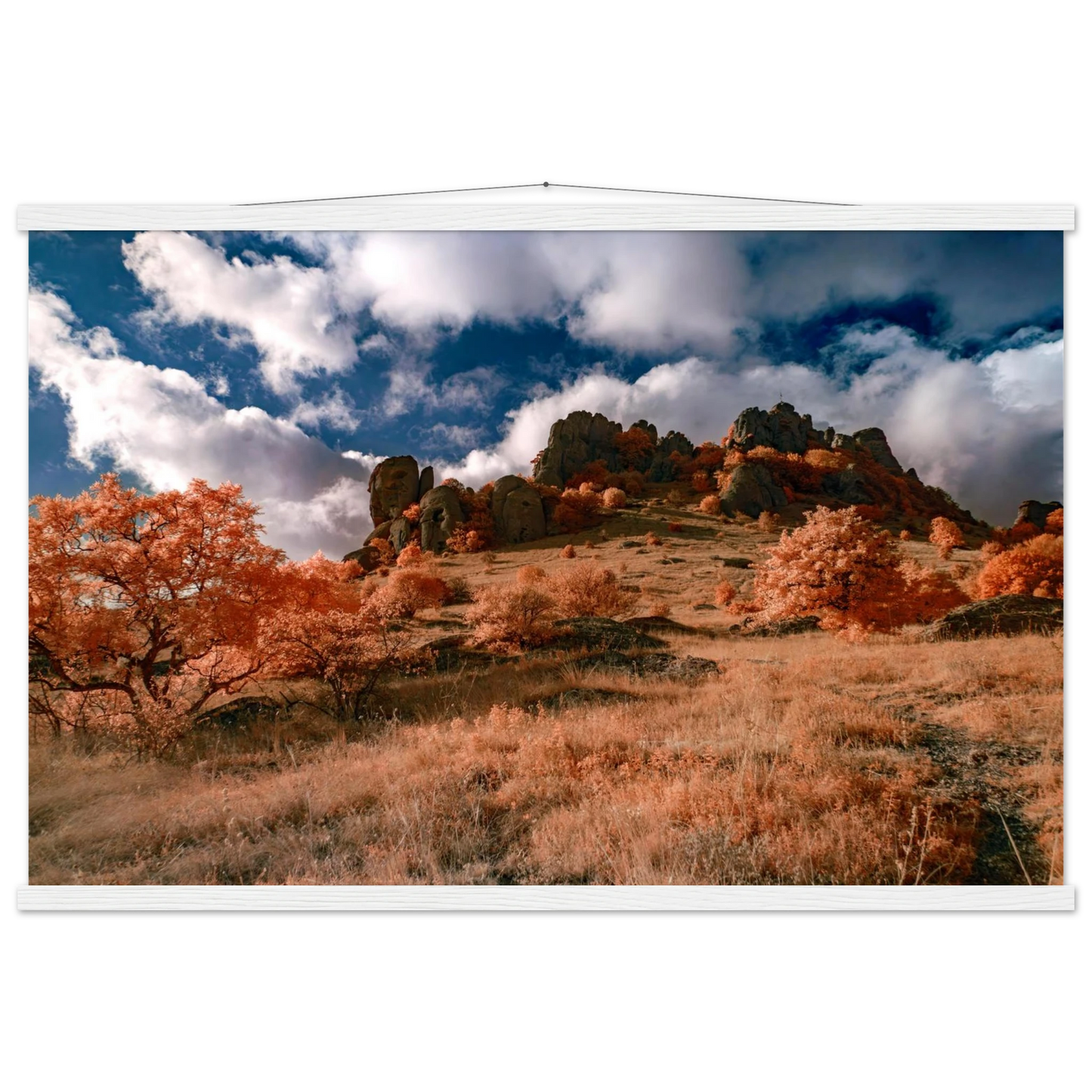 edbcc05b-2f71-4ffc-9a74-d5269dffca1f