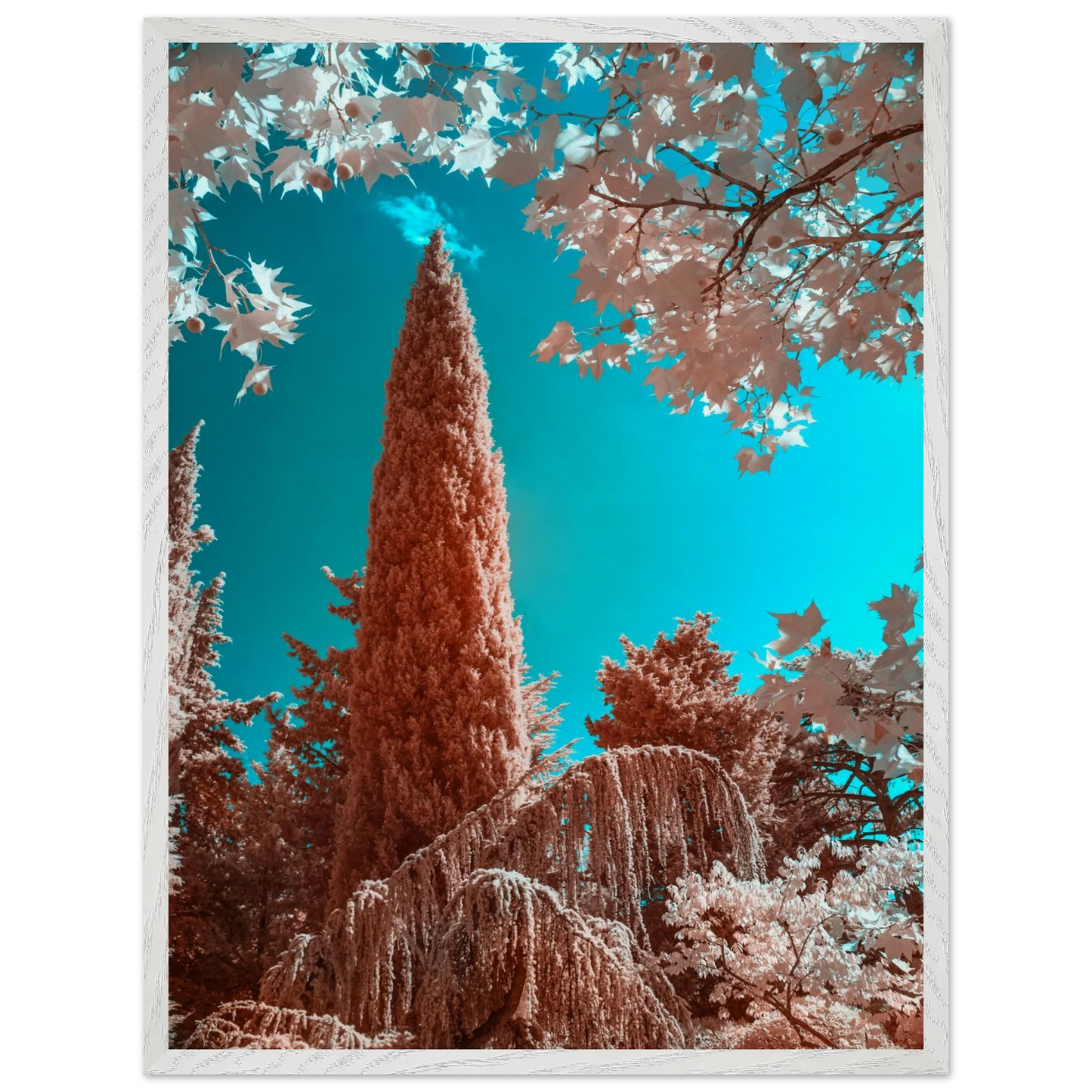 ee2d7309-4f23-4489-9145-b99aef3cd020