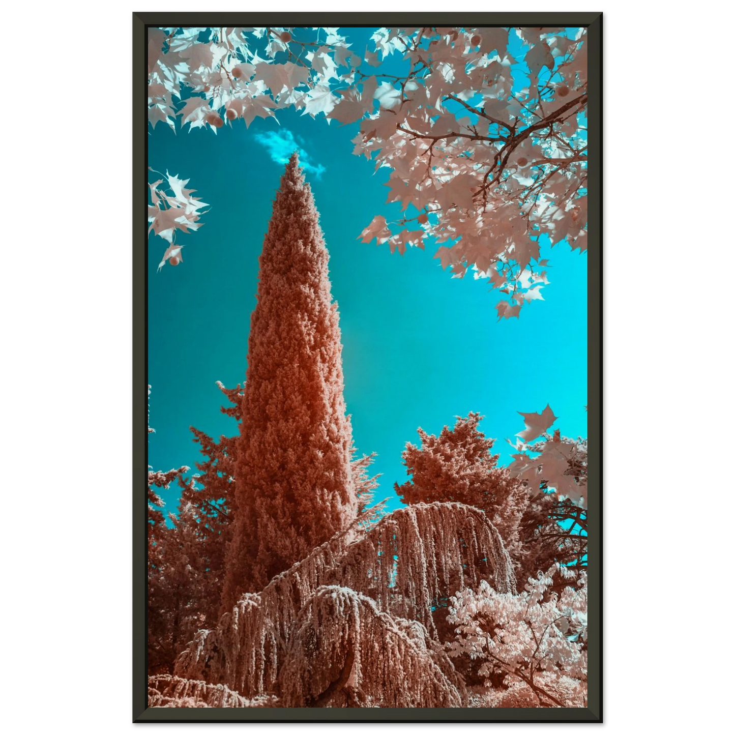 ef587d07-58a3-4176-b8f3-9eab587484ec