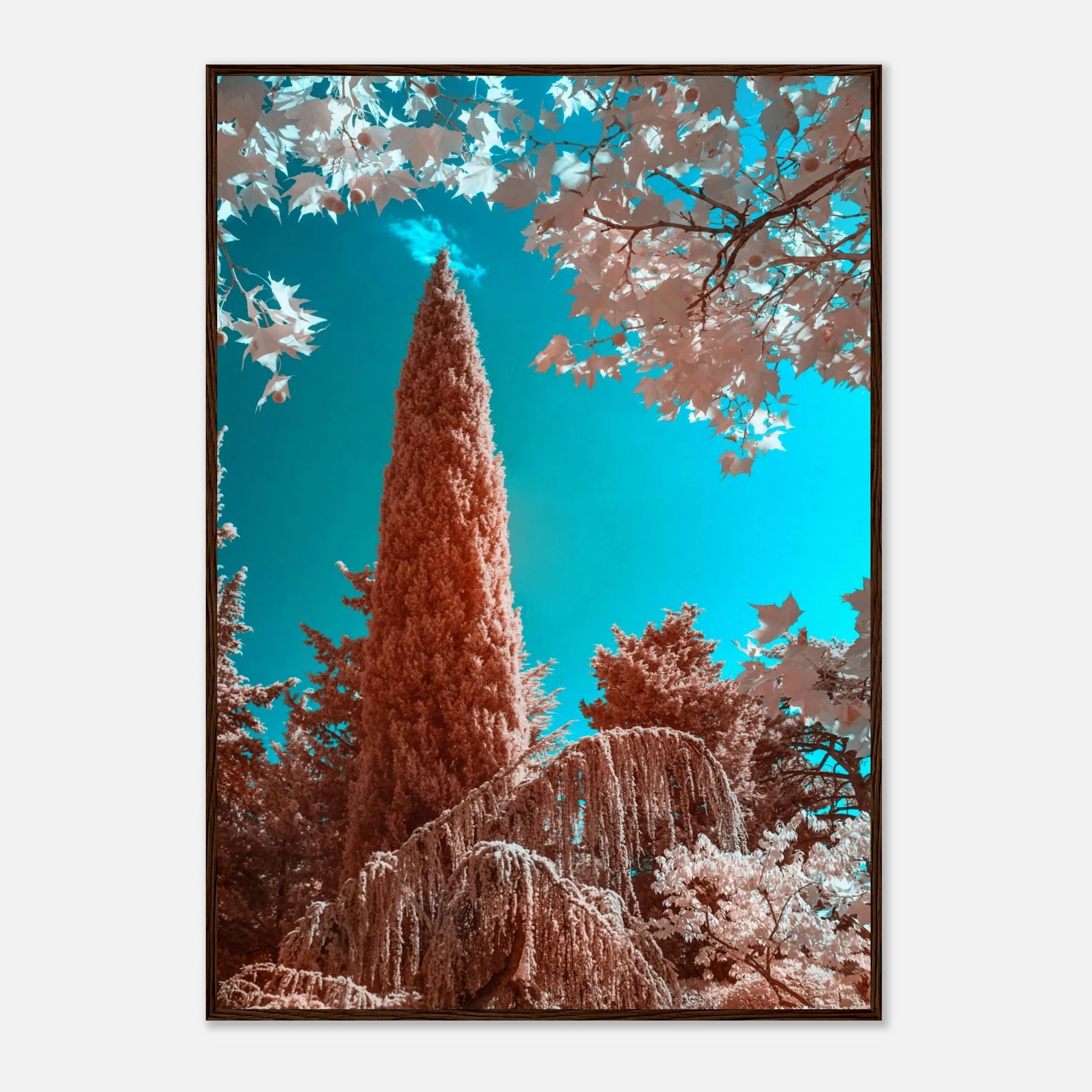 f04e4b85-ce9d-4990-9036-f2ab5b675508