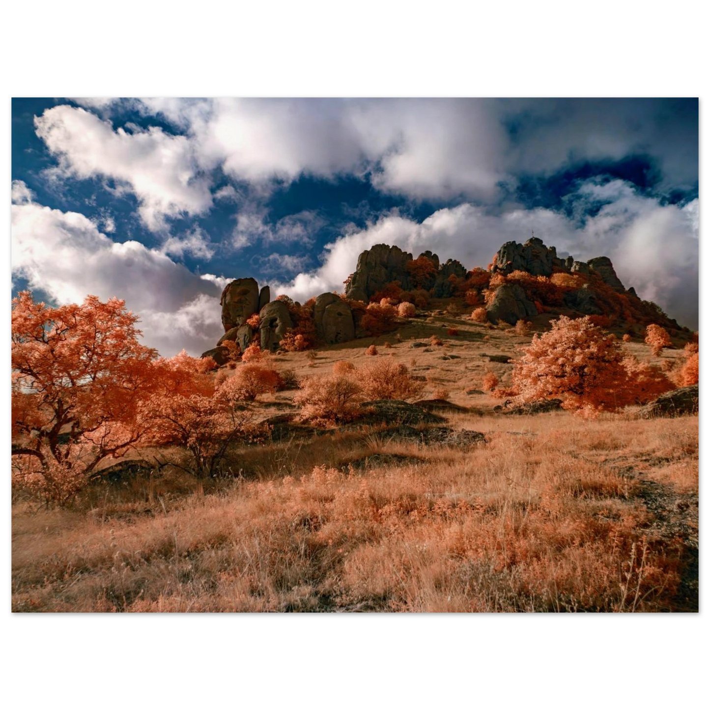 f05741fd-8afe-4c28-a844-66ec1293b79a