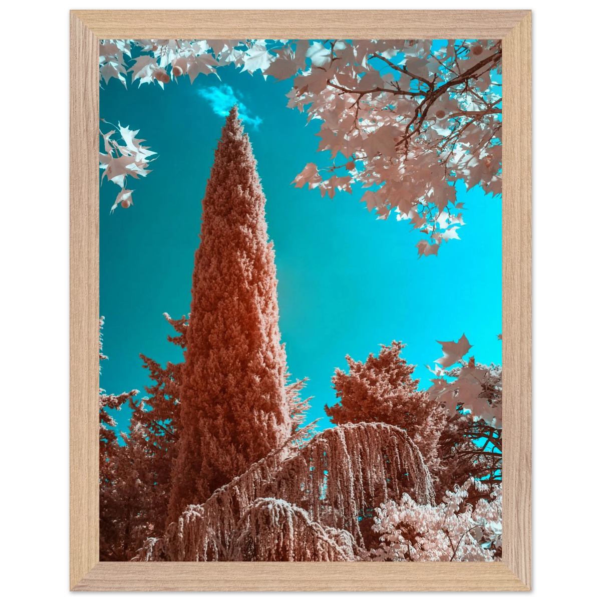f11ce388-3b1a-4bd2-b537-07124e01d066