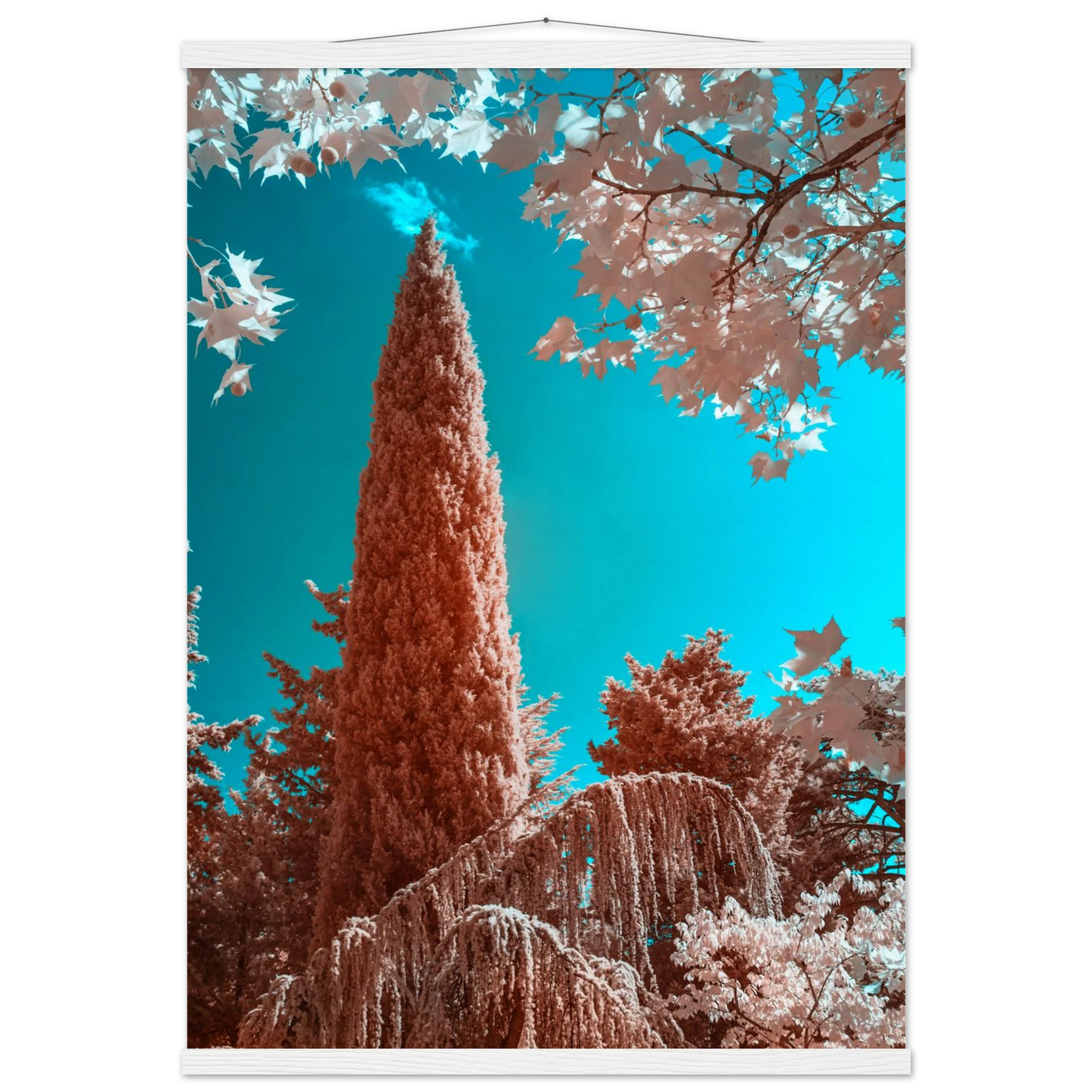 f12419b5-a940-4313-a737-84671814c5d0