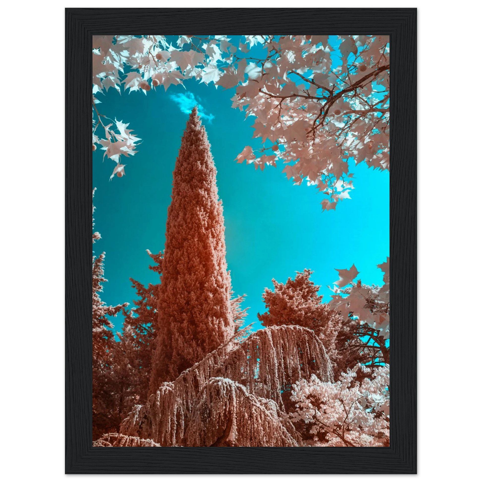 f1265bc2-19ac-420b-875e-776740891e79