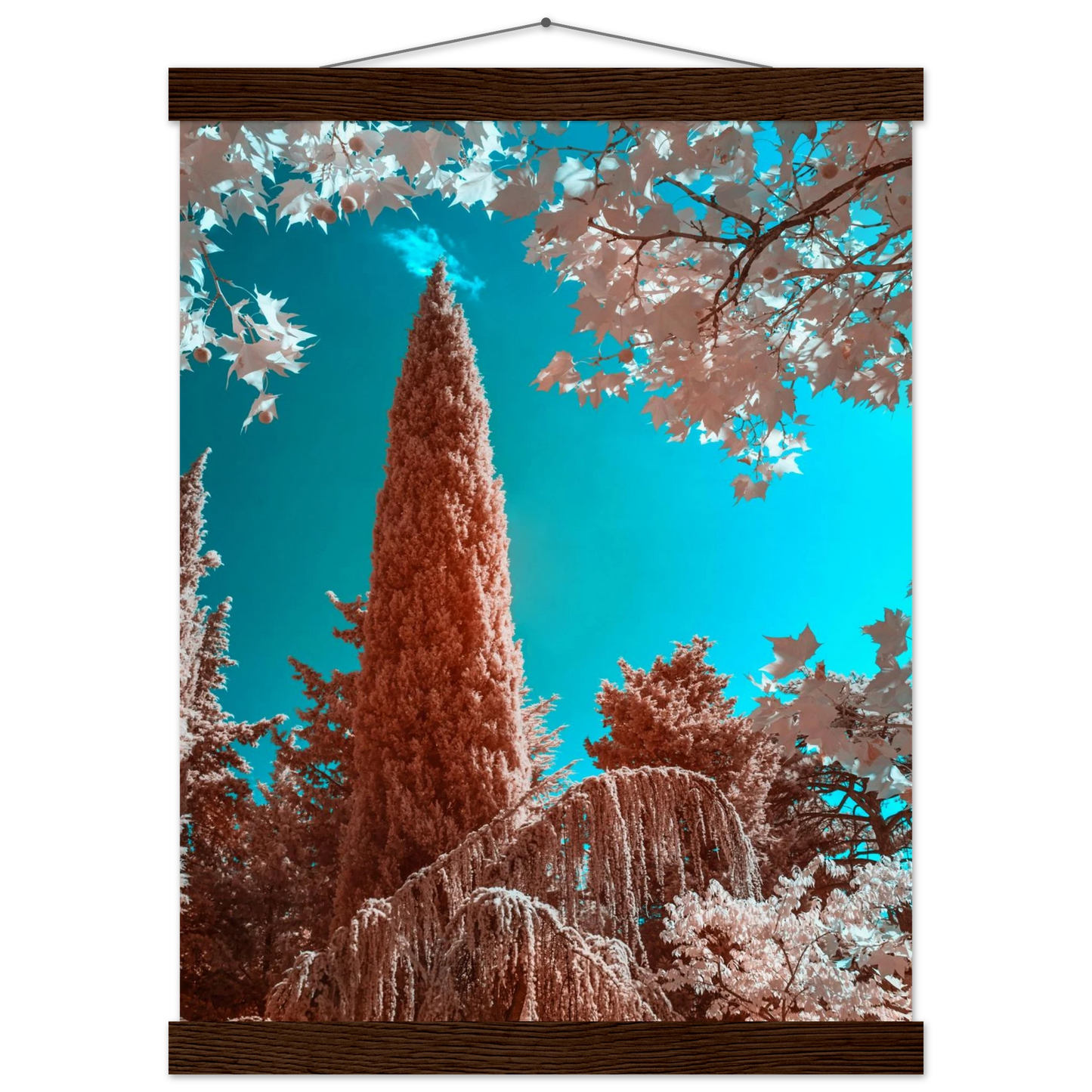 f2c5d9f0-5106-4221-94df-1beff0928280