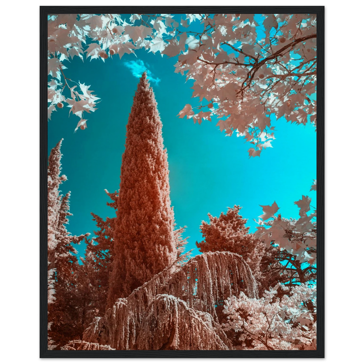 f2e0283e-8395-4ea5-a82f-10fb04f57134