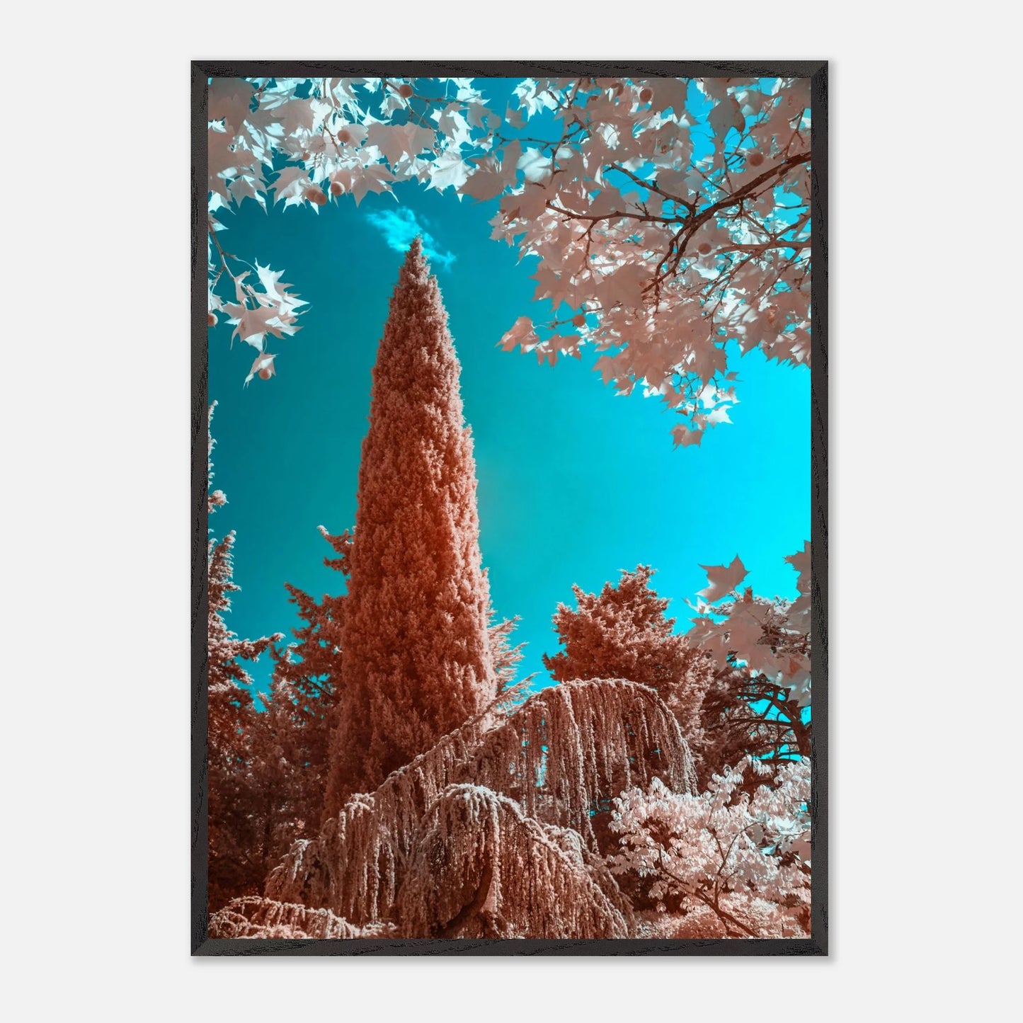 f3c28d29-261c-4603-9cc0-2d809757ed53