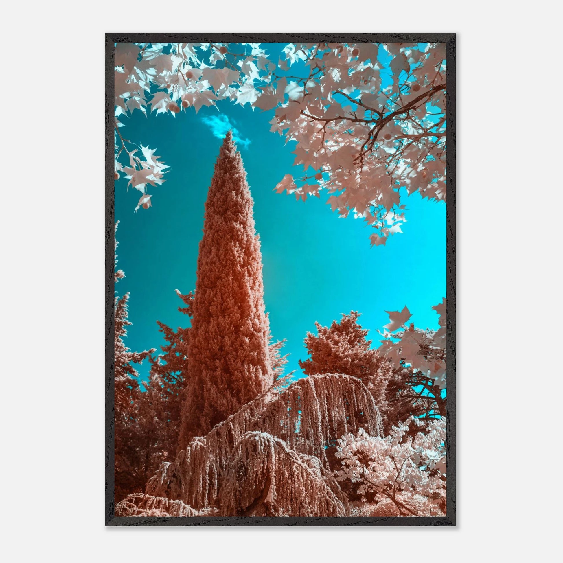 f3c28d29-261c-4603-9cc0-2d809757ed53