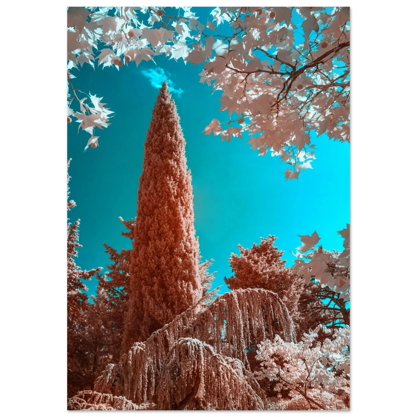 f3f97180-ec71-4b5e-81ec-04b1d07373d4