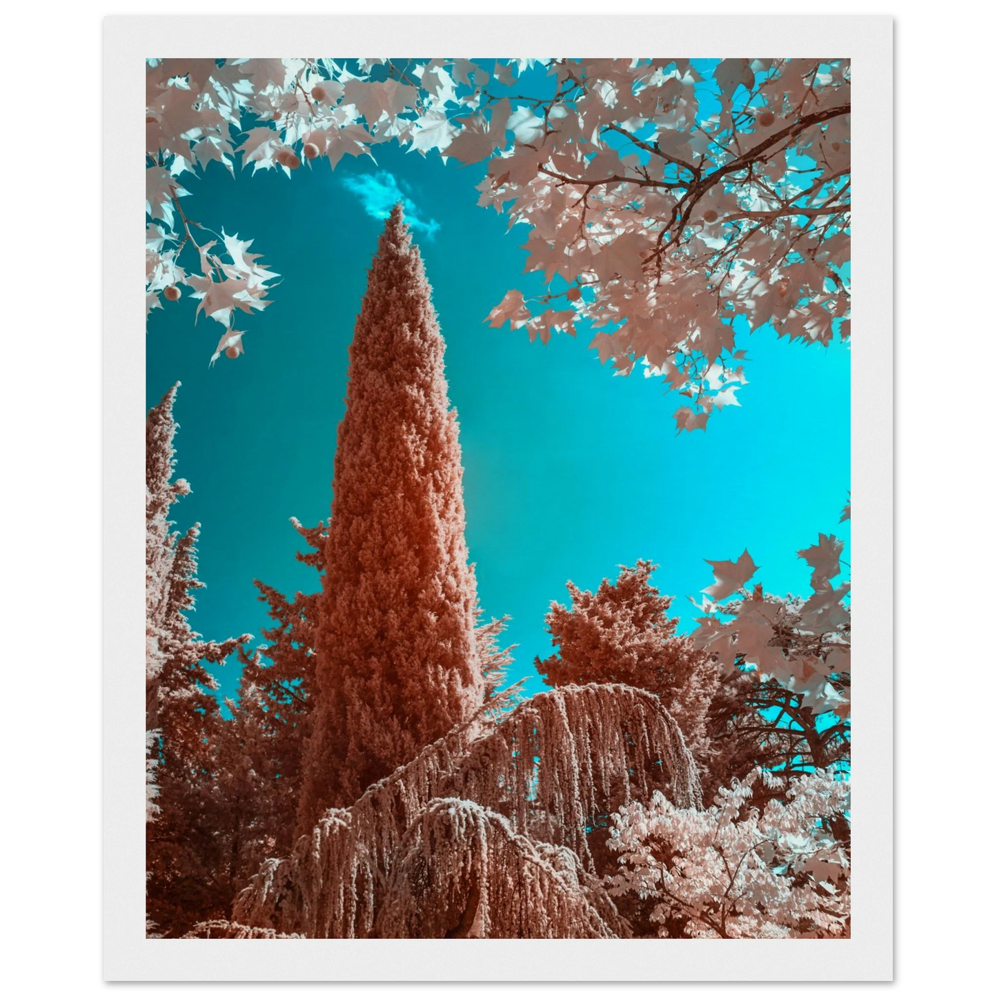 f4e67bdd-02d8-4a72-9ee6-b4f786fc8e57