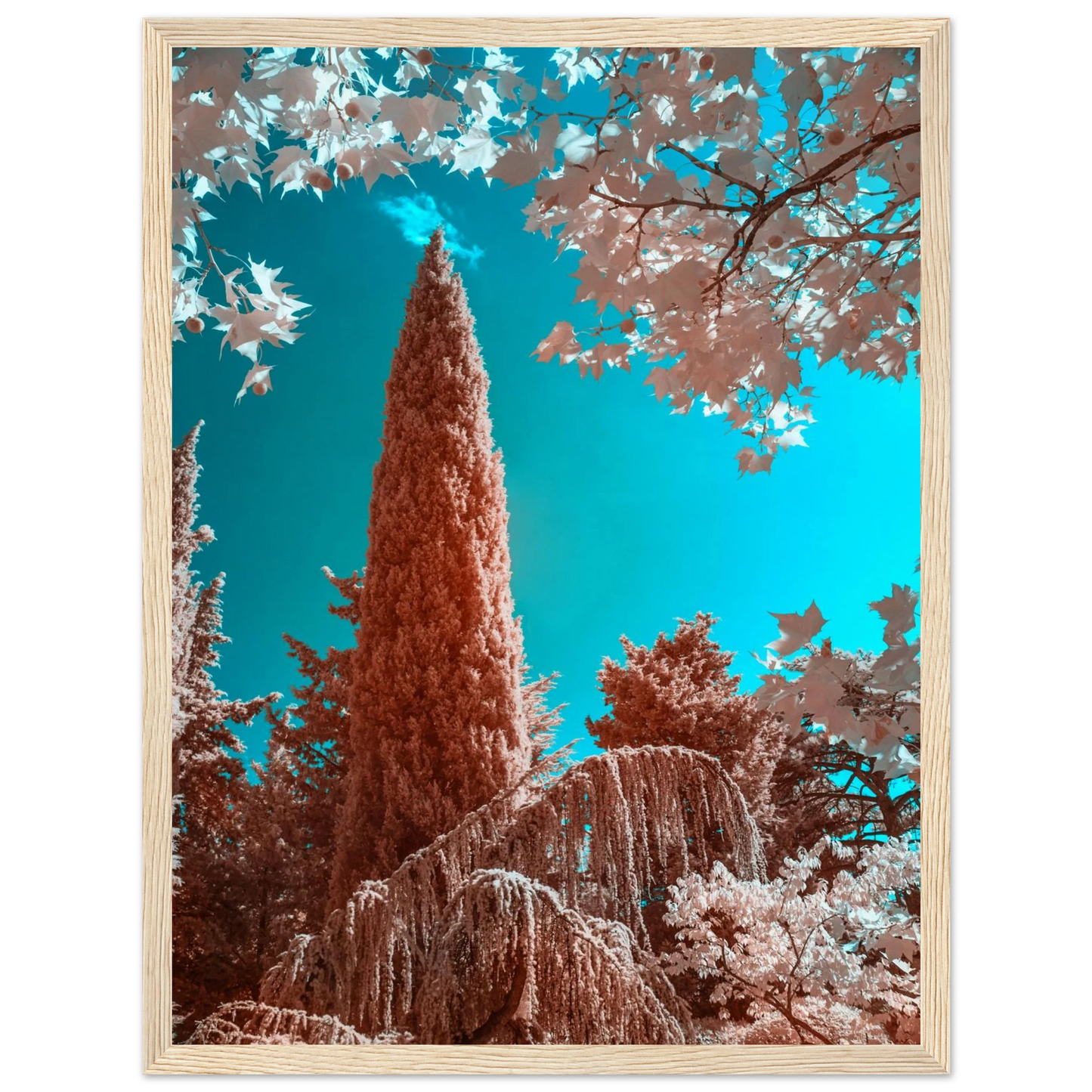 f50586ce-890a-4070-8171-afc568639b17