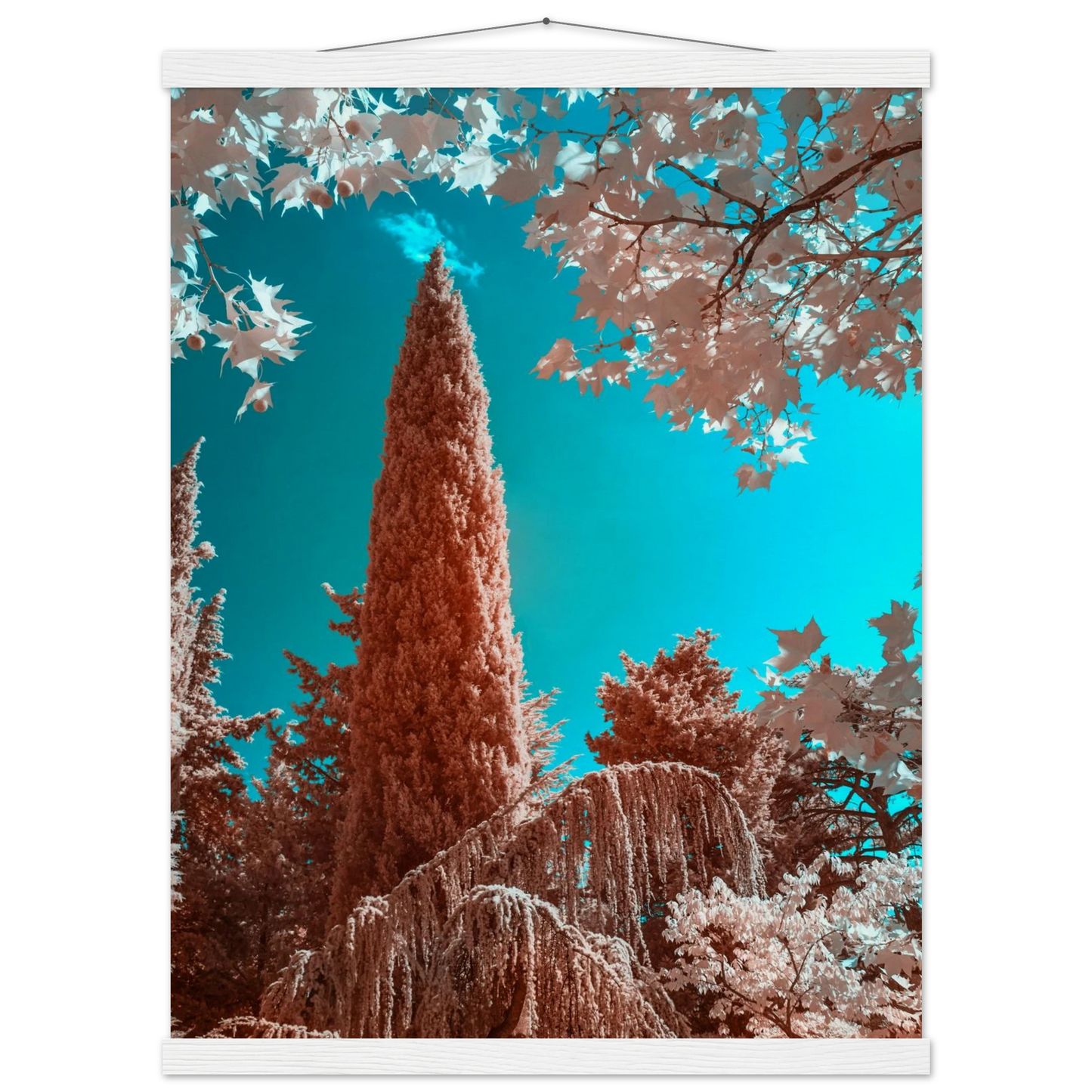 f56996c0-a71d-40c6-862a-51c0fc369c8f