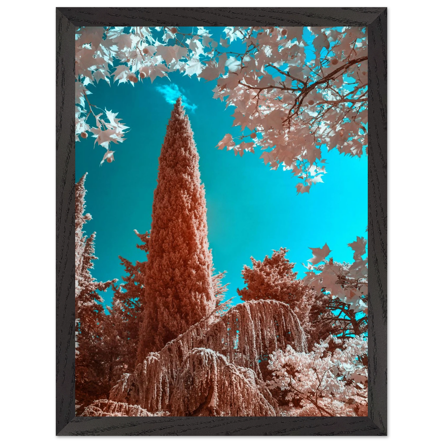 f633edbd-df8d-4f86-be0a-962474f28bc4