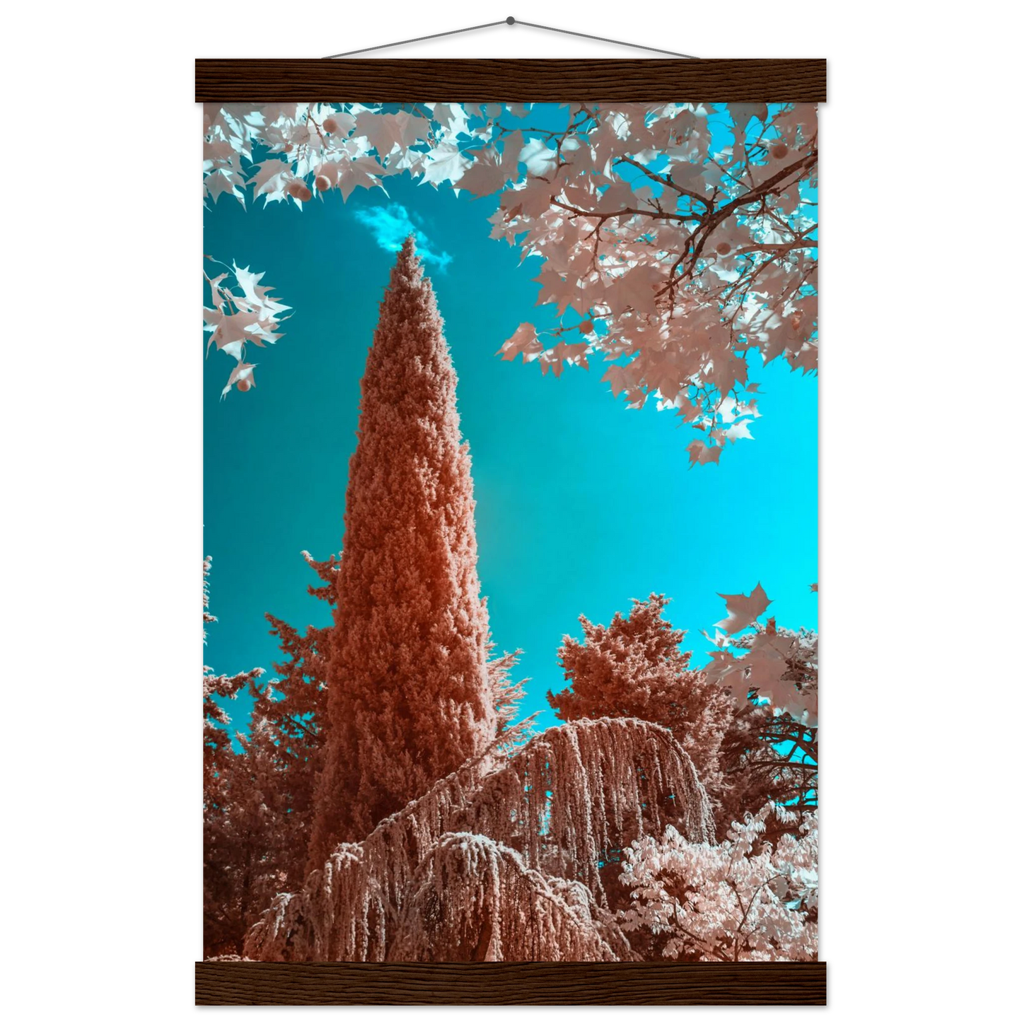 f73a7c92-c097-4329-a018-8c0b439757ec