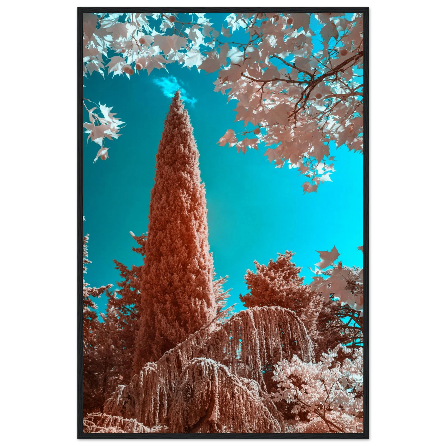 f7592b15-c658-4194-b23a-d89abe2c9921