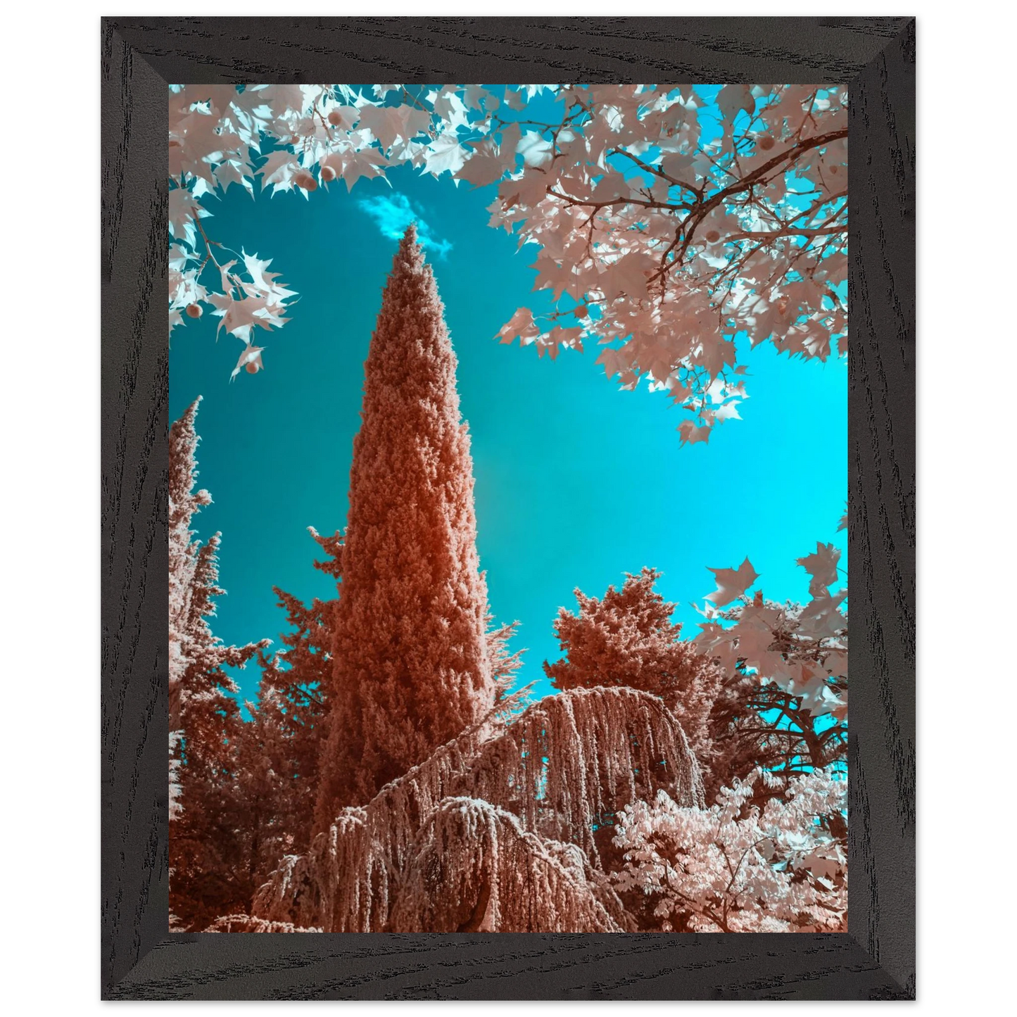 f7ed4624-08be-4848-af7e-a074b5ba6f7e