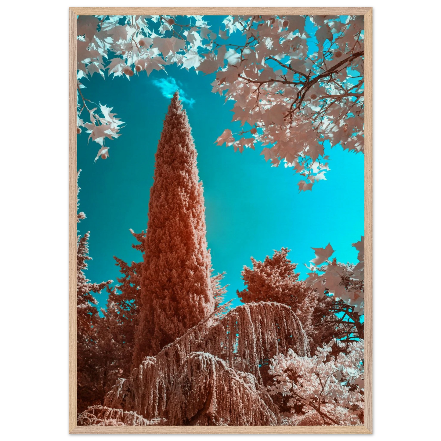 f837767c-ed8d-4bf7-989b-6f7118b44df4