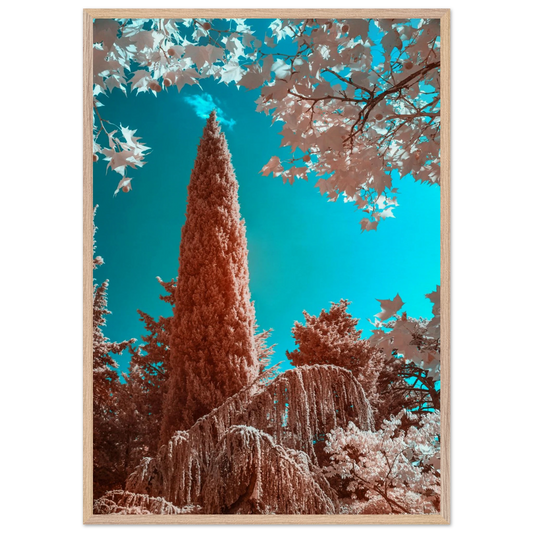 f837767c-ed8d-4bf7-989b-6f7118b44df4