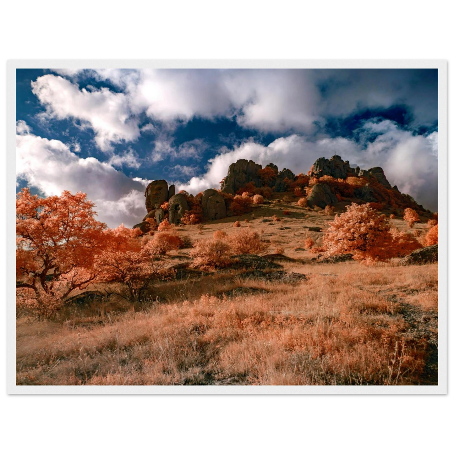 f8a9da88-5823-4f90-aac2-6f8f4e880de6