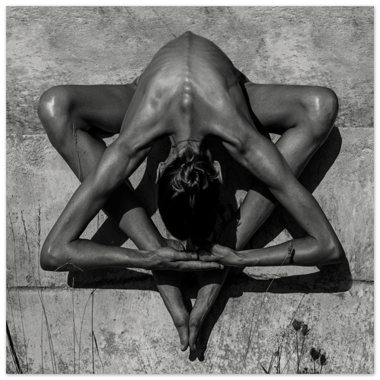 f9215d85-ed2b-4e87-b8af-325a9d79ca6e