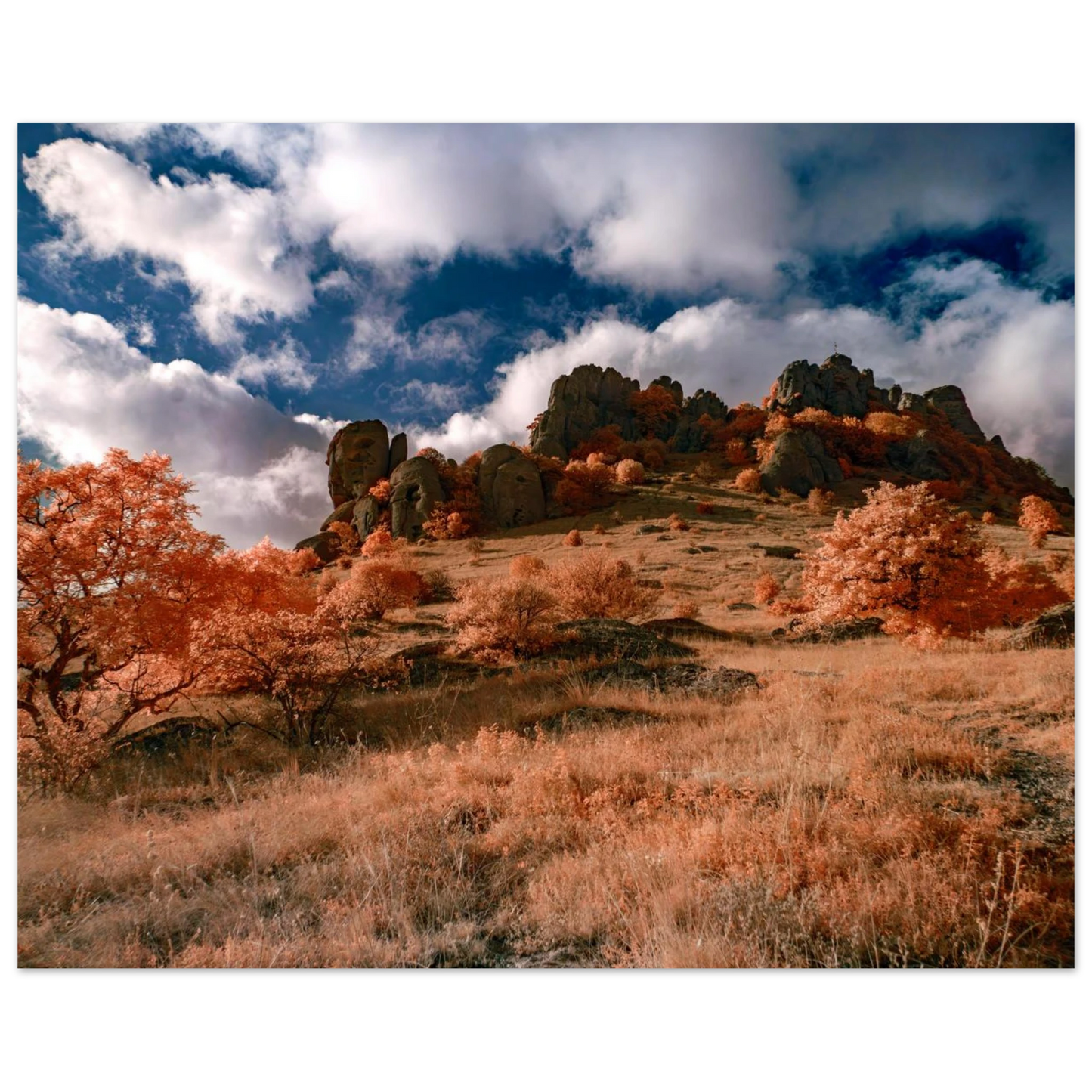 fa95699f-a20e-49bb-8bed-f473411ebd08