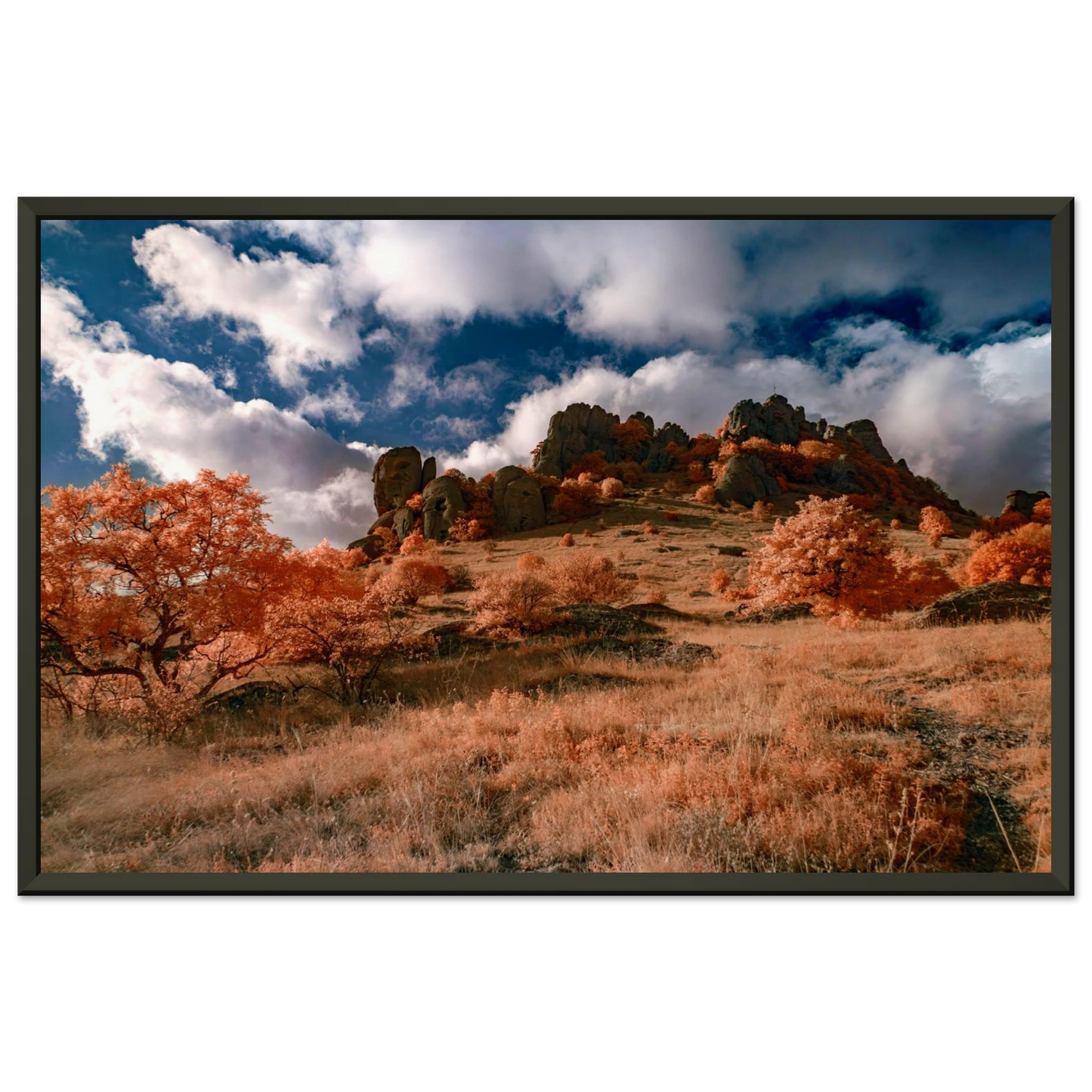 fbae4e1e-7885-451d-ad8a-ecc2fd8efb4d