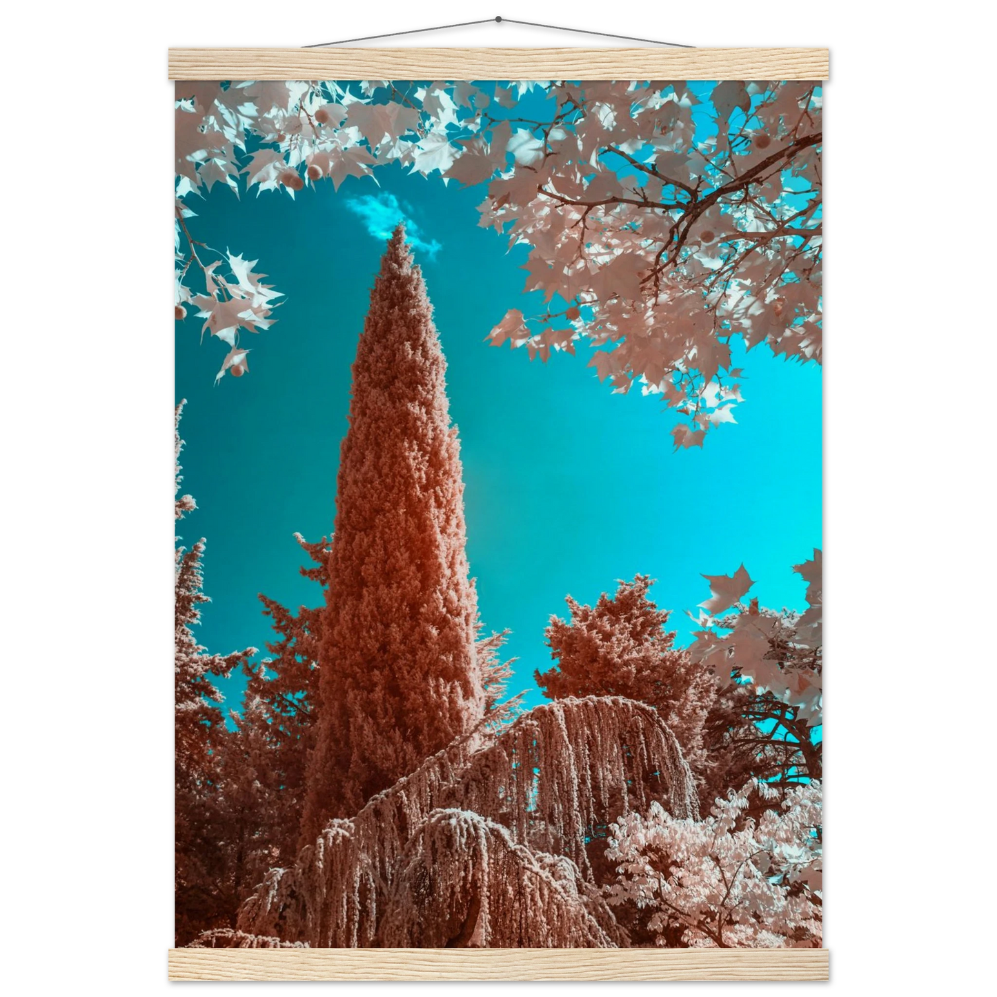 fddc00db-d3ad-41d4-bbc2-0f9755c94f05