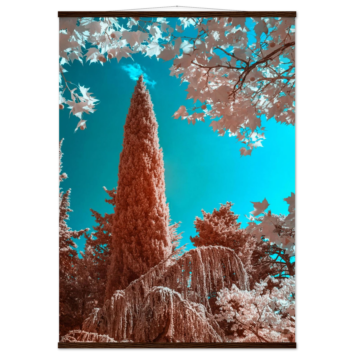 fe576406-89b1-4506-8965-cd3c25ab5bcb