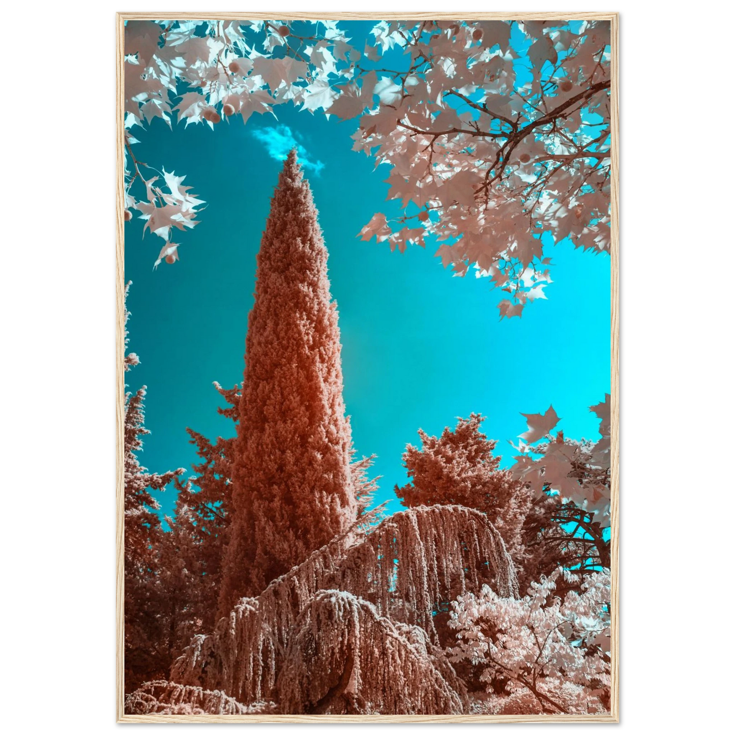 fe9622bf-fd95-474f-989c-9ea6bdf423d8