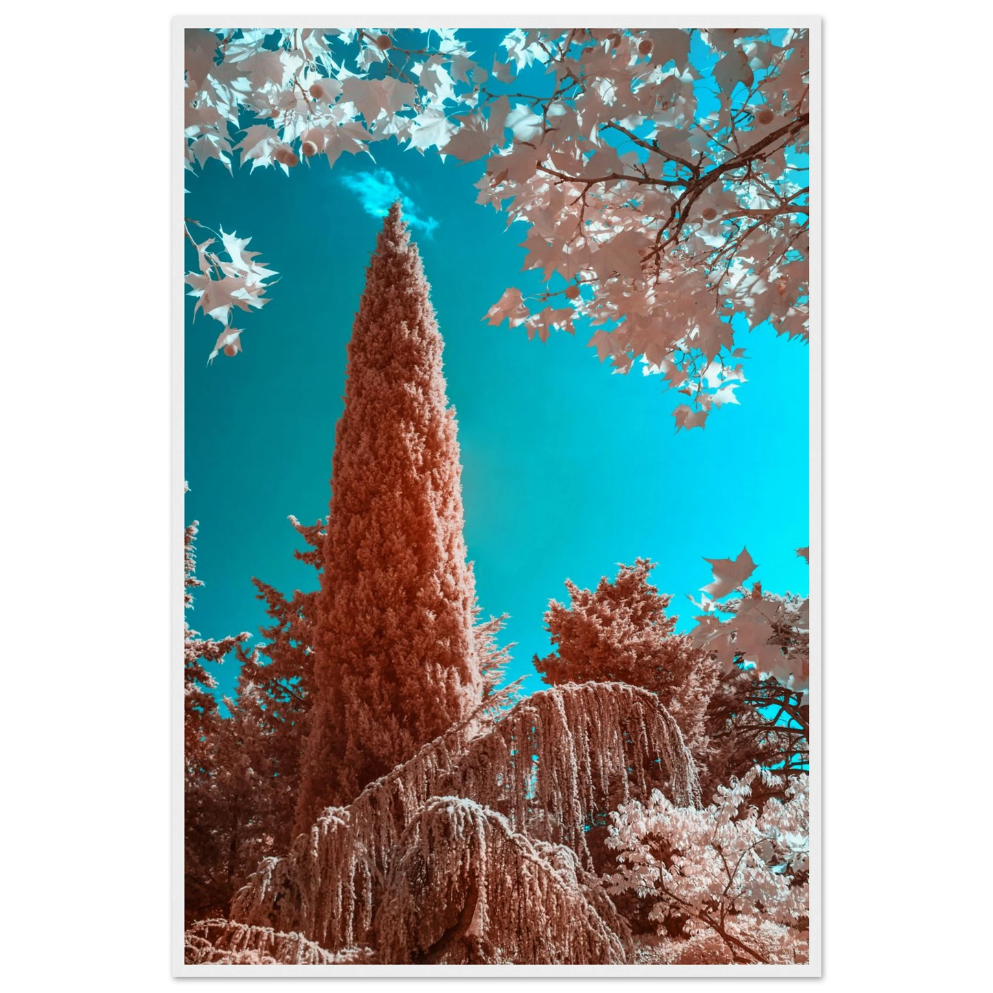 feb437c1-b218-4f9c-a816-ab7ac9c7df9b